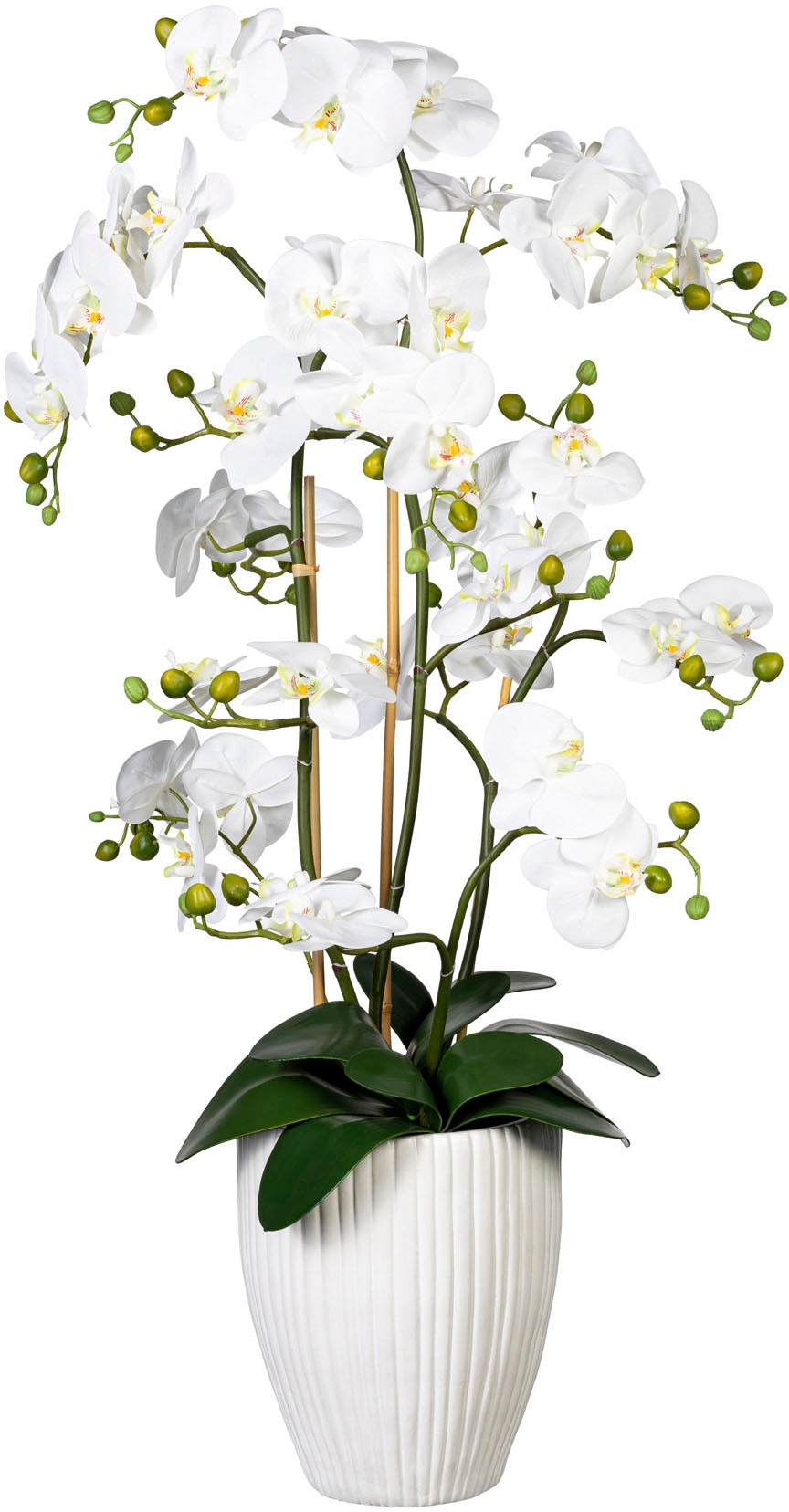 green »Deko-Orchidee XL auf Keramiktopf« Kunstorchidee Rechnung Creativ Phalaenopsis bestellen im