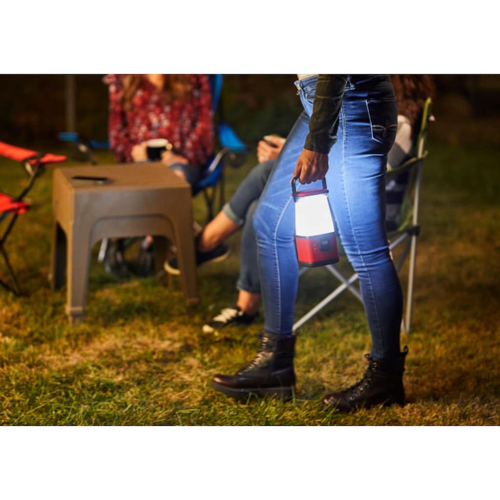 Energizer Laterne »Camping Light«, LED Camping Lampe, bis zu 650 Std. Licht