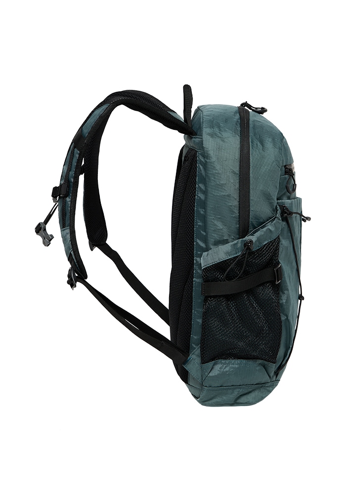 Jack Wolfskin Daypack »WANDERMOOD PACK 20«