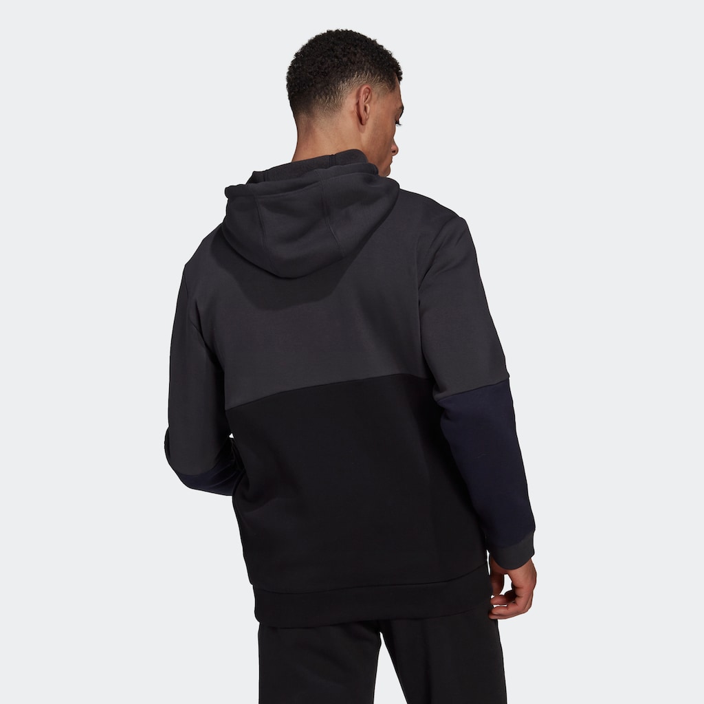 adidas Sportswear Kapuzensweatshirt »ESSENTIALS COLORBLOCK FLEECE KAPUZENJACKE«