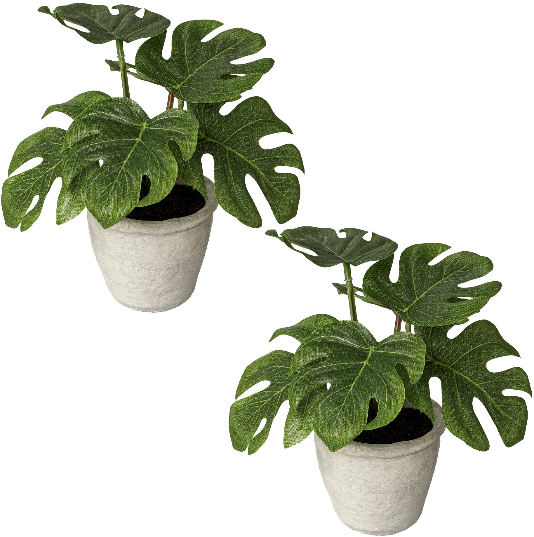 im Zimmerpflanze bestellen Creativ bequem green Paperpot Künstliche »Blattpflanze Splitphilodendron«,