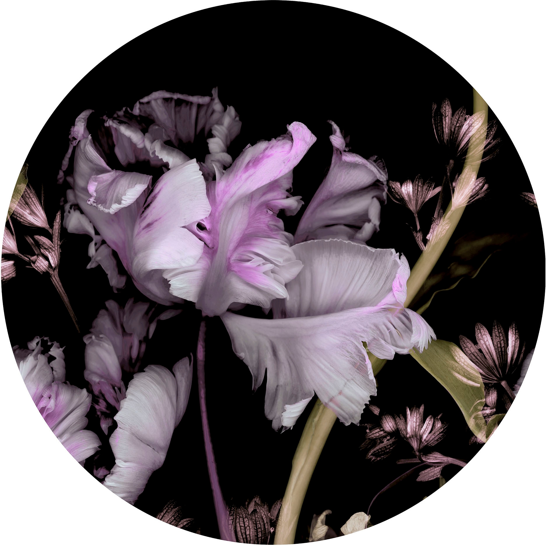 Fashion for walls Fototapete »Tiao Hua«, floral, Phthalate frei