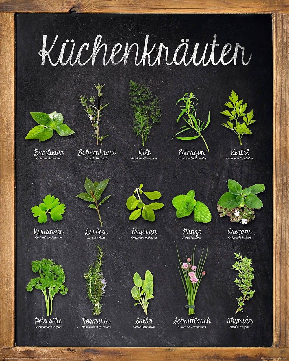GOODproduct Deco-Panel "Küchenkräuter" 40/50 cm