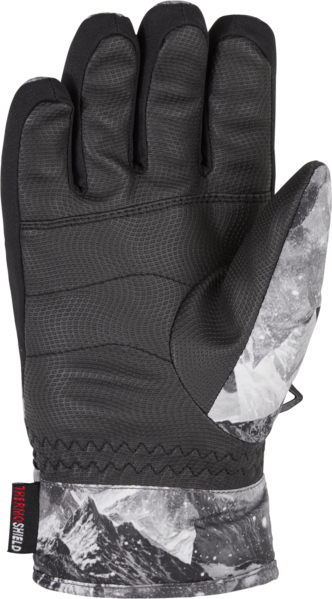 Ziener Skihandschuhe »LABINO AS(R)«