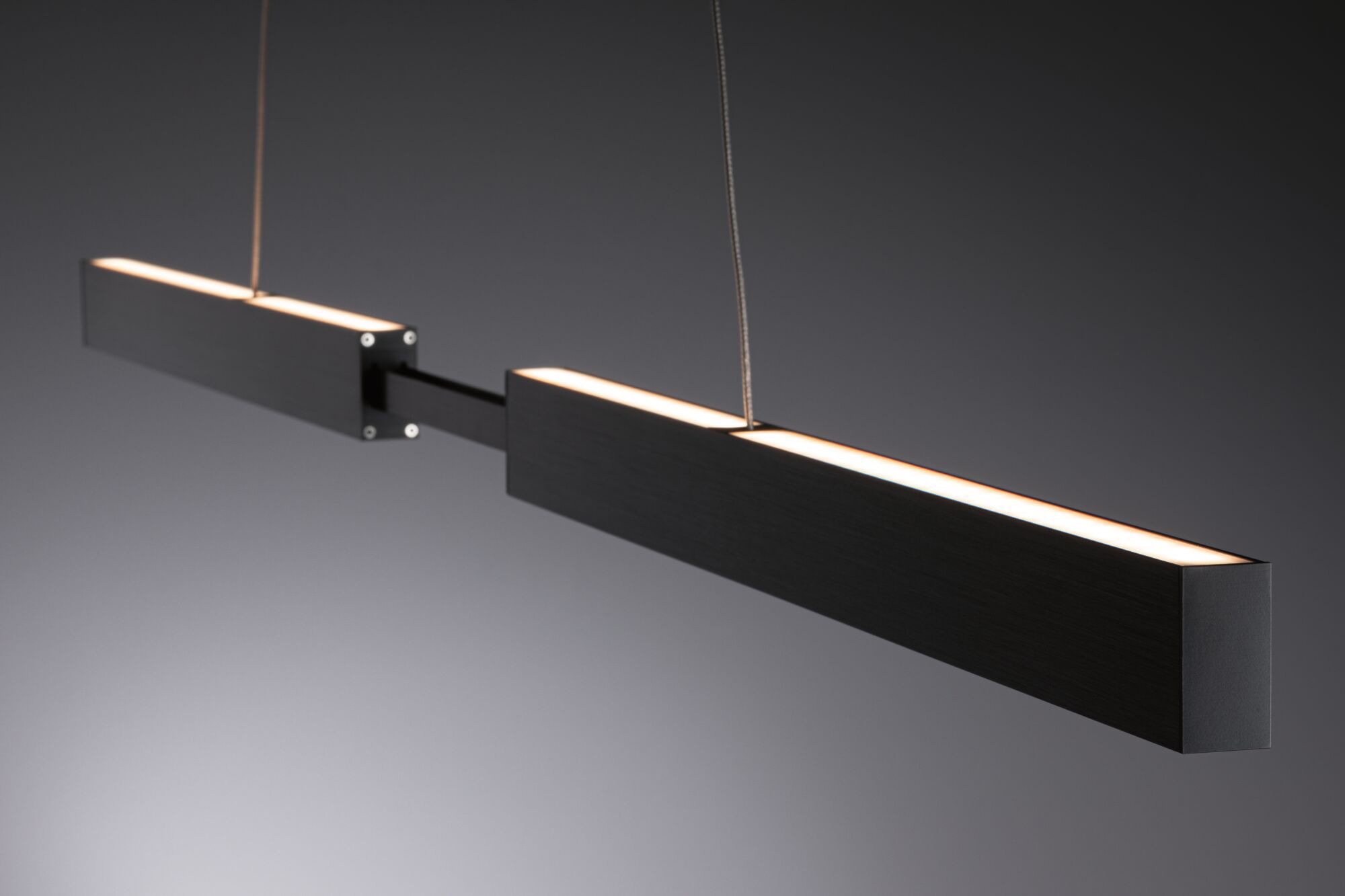 Paulmann LED Pendelleuchte »Aptare«