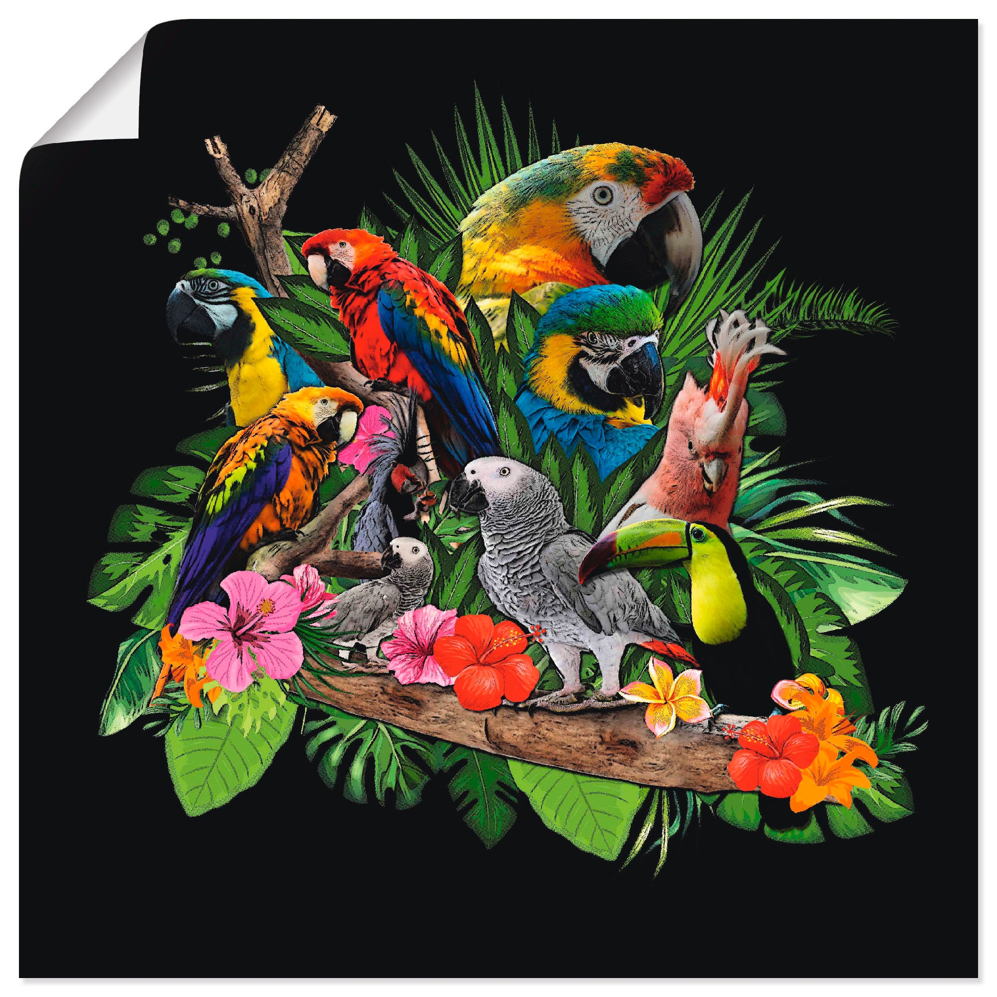 Artland Wandbild »Papageien Graupapagei Kakadu Dschungel«, Vögel, (1 St.), als... kaufen