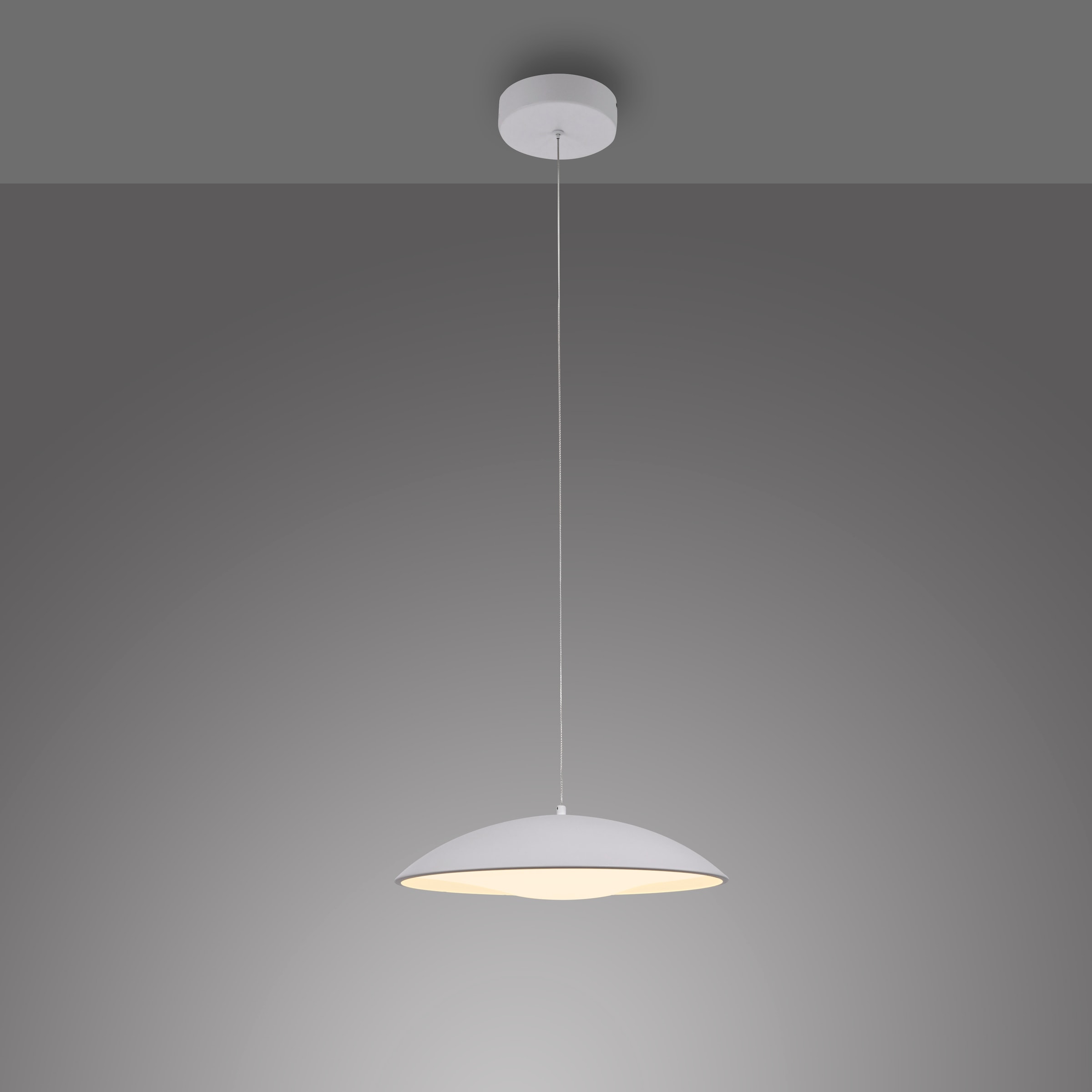 SCHÖNER WOHNEN-Kollektion LED Pendelleuchte »LENTE« LED-Board 1 Stk. Warmweiß SCHÖNER WOHNEN Kollektion, Downlight