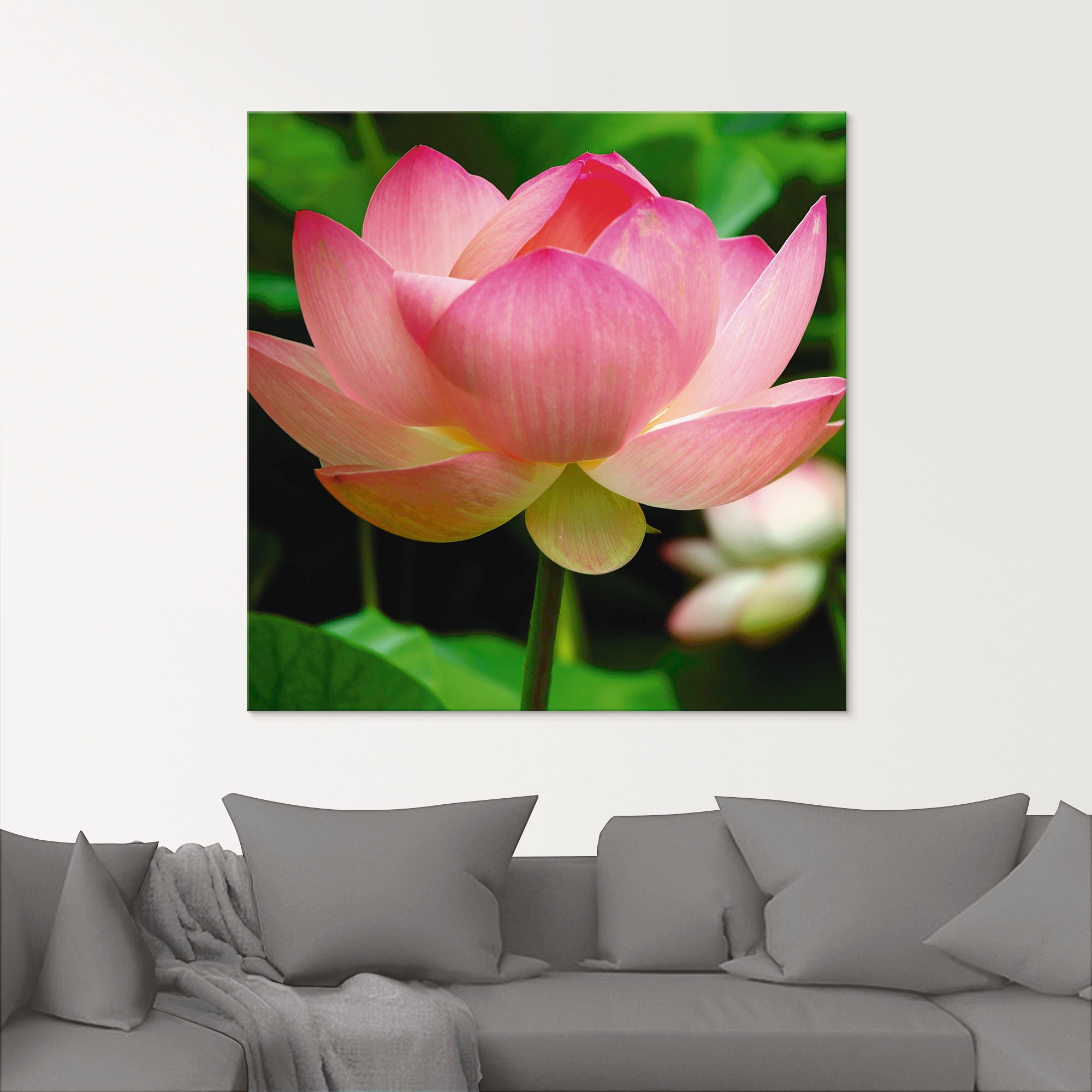 Artland Glasbild »Lotus - Seerose«, Blumen, (1 St.), in verschiedenen Größen