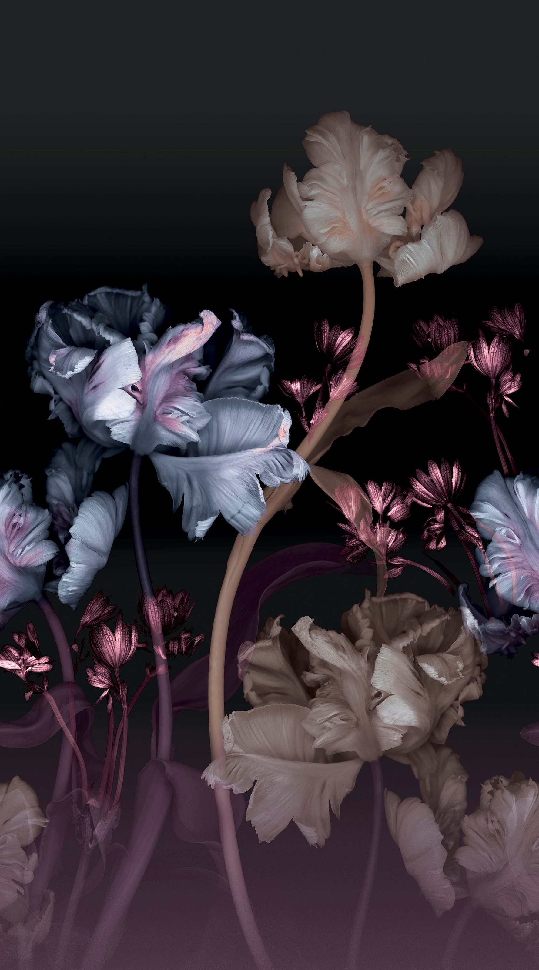 Fashion for walls Fototapete »Vanda«, floral, Phthalate frei