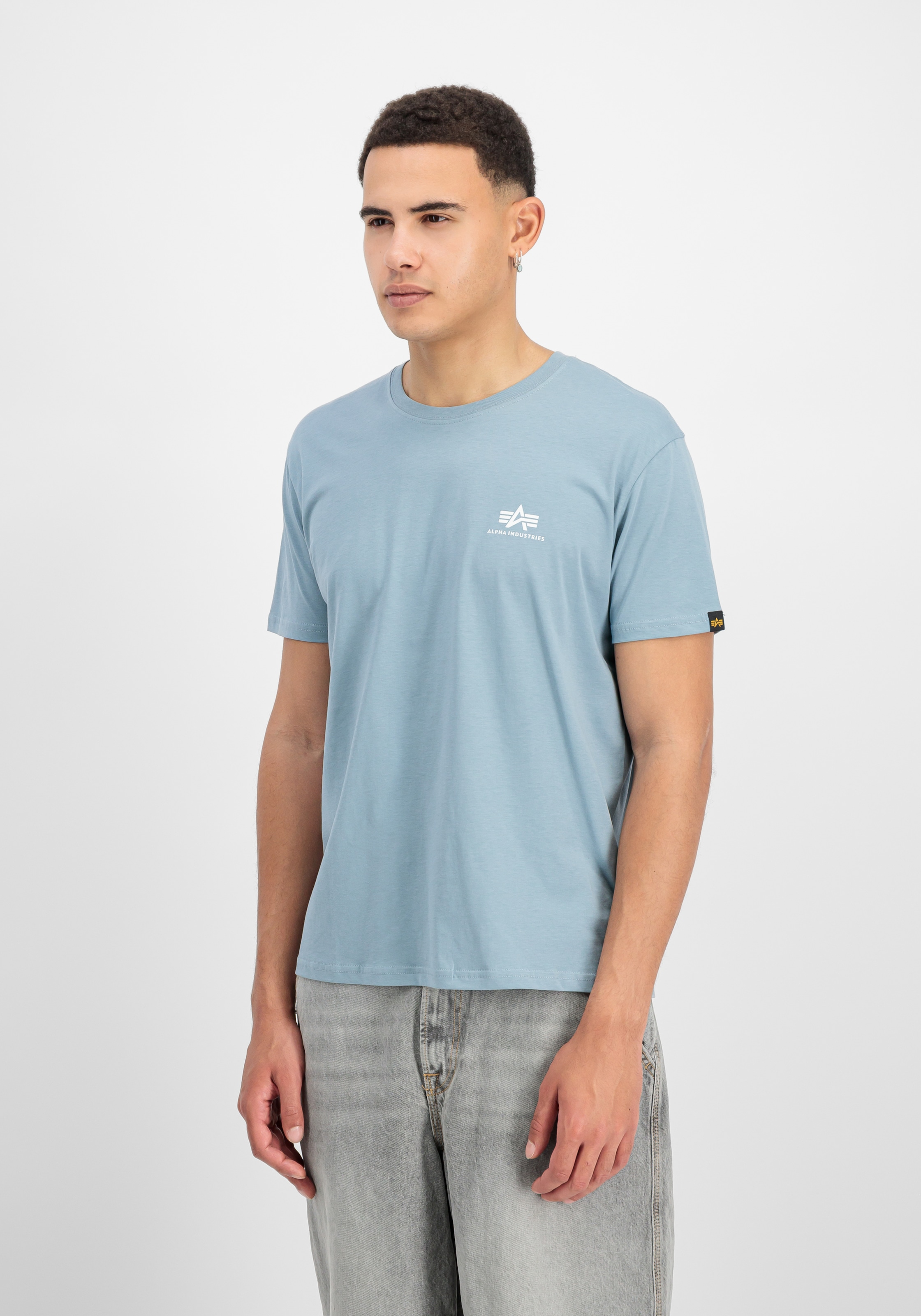 Alpha Industries Rundhalsshirt »BASIC T SMALL LOGO« Baumwolle, regular fit