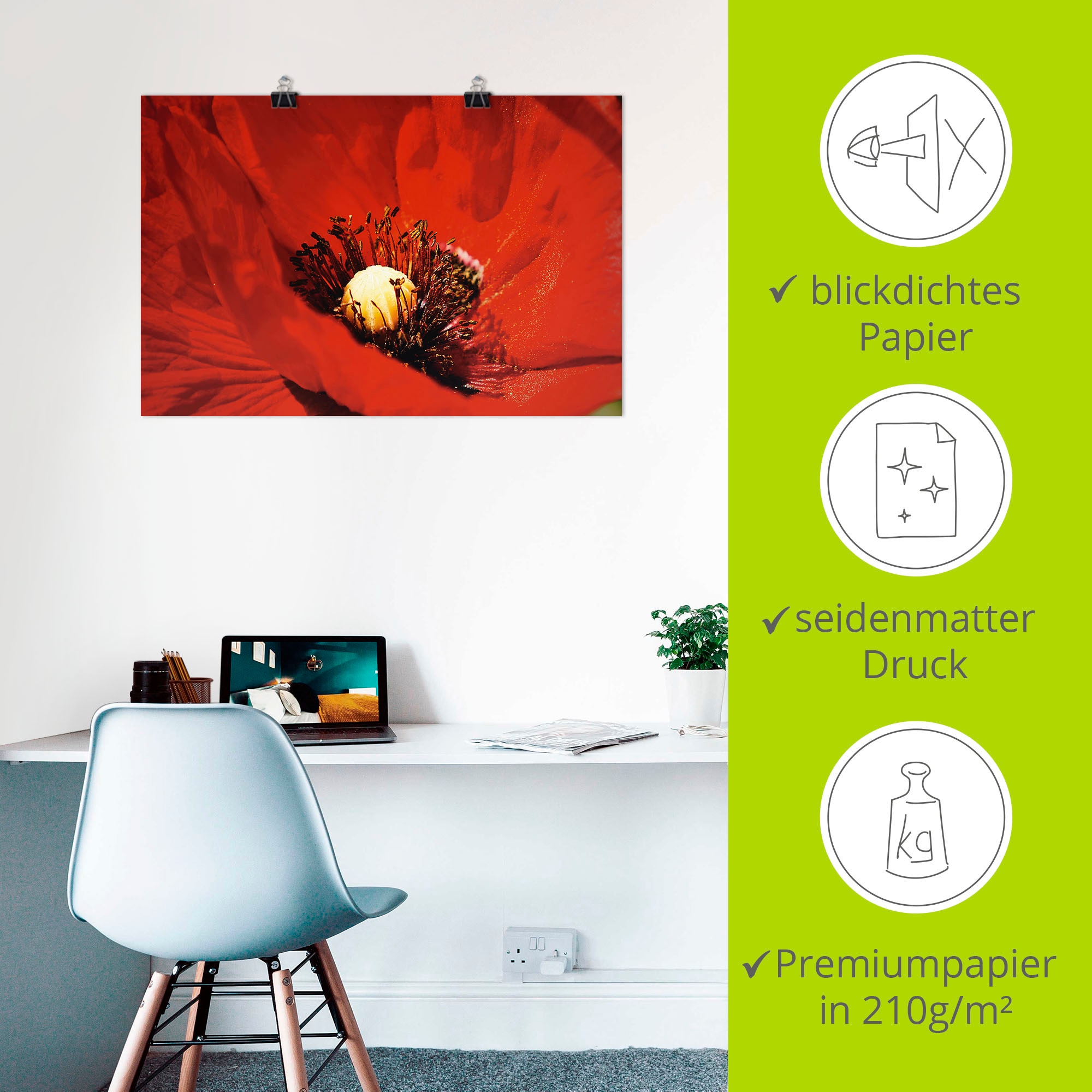 Artland Poster »Roter Mohn« Blumen 1 Stk. tlg. als Poster in verschied. Größen