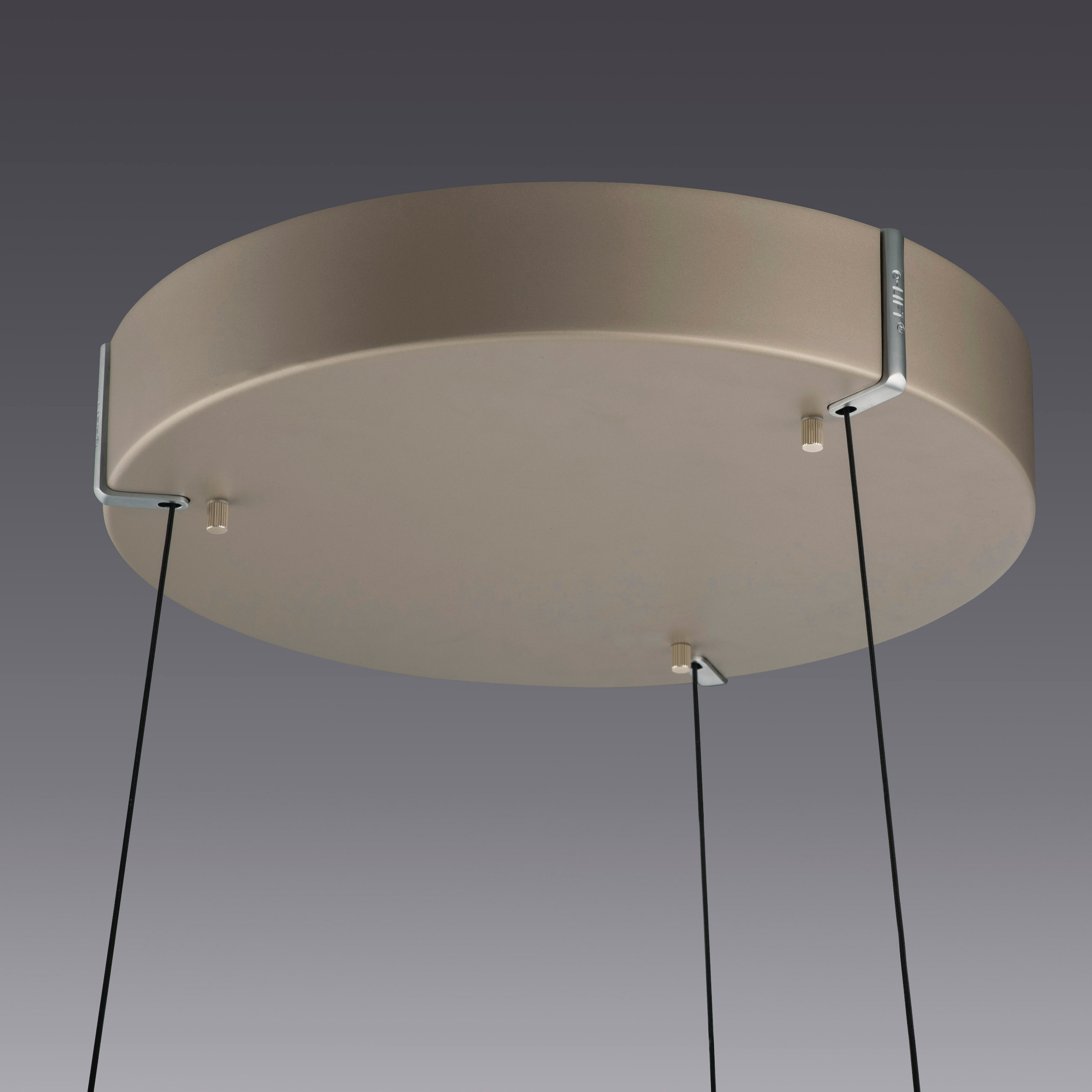 Neuhaus PURE LED Pendelleuchte »PURE E-Loop« LED-Board 1 Stk. warmweiß - kaltweiß e-LIFT® Funktion, CCT, dimmbar über Fernbedienung