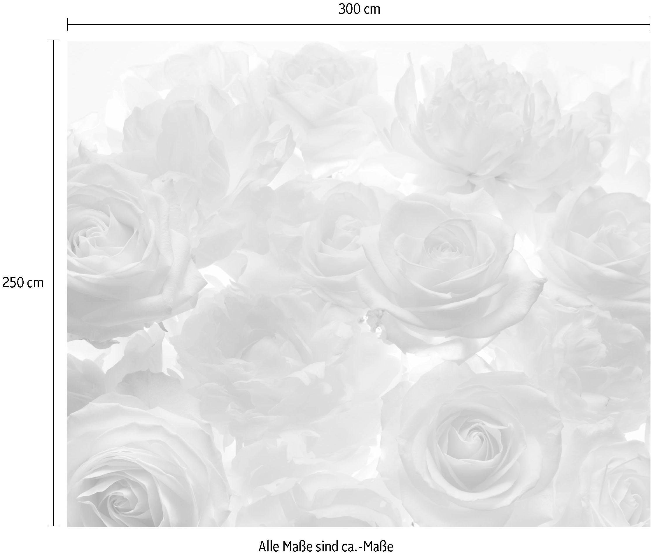 Komar Vliestapete »Digitaldruck Vlies - Shalimar - Größe 300 x 250 cm«, bedruckt, Wohnzimmer, Schlafzimmer