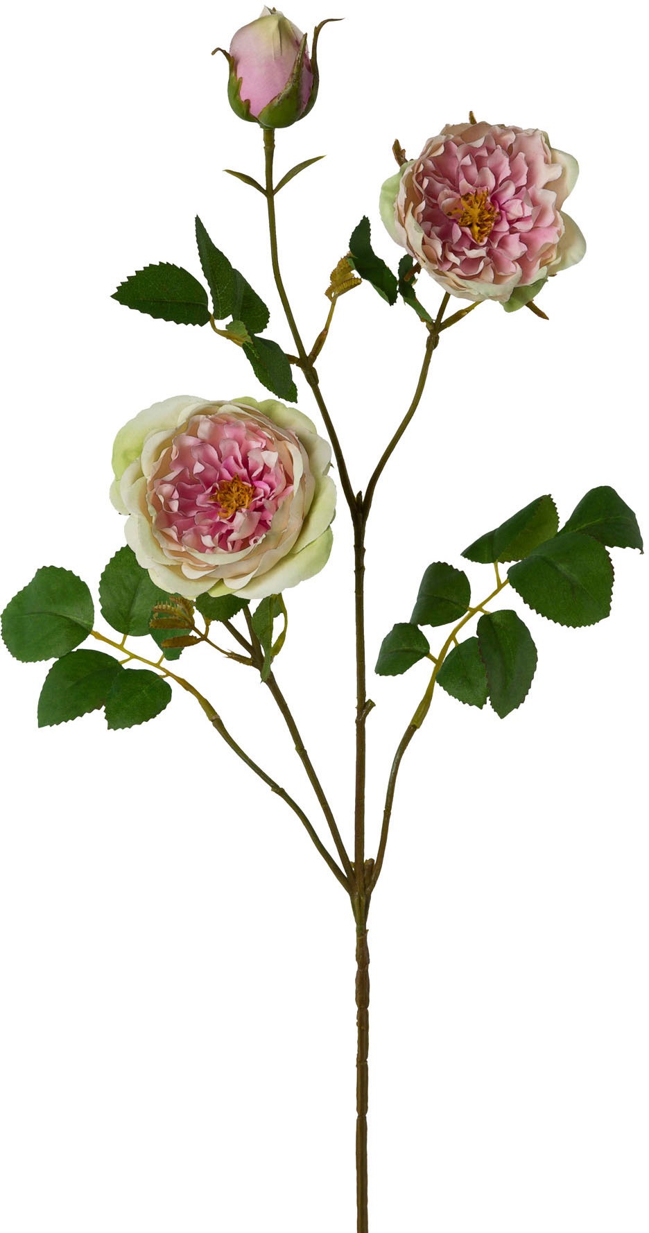 Creativ green Kunstblume »Rosenzweig«