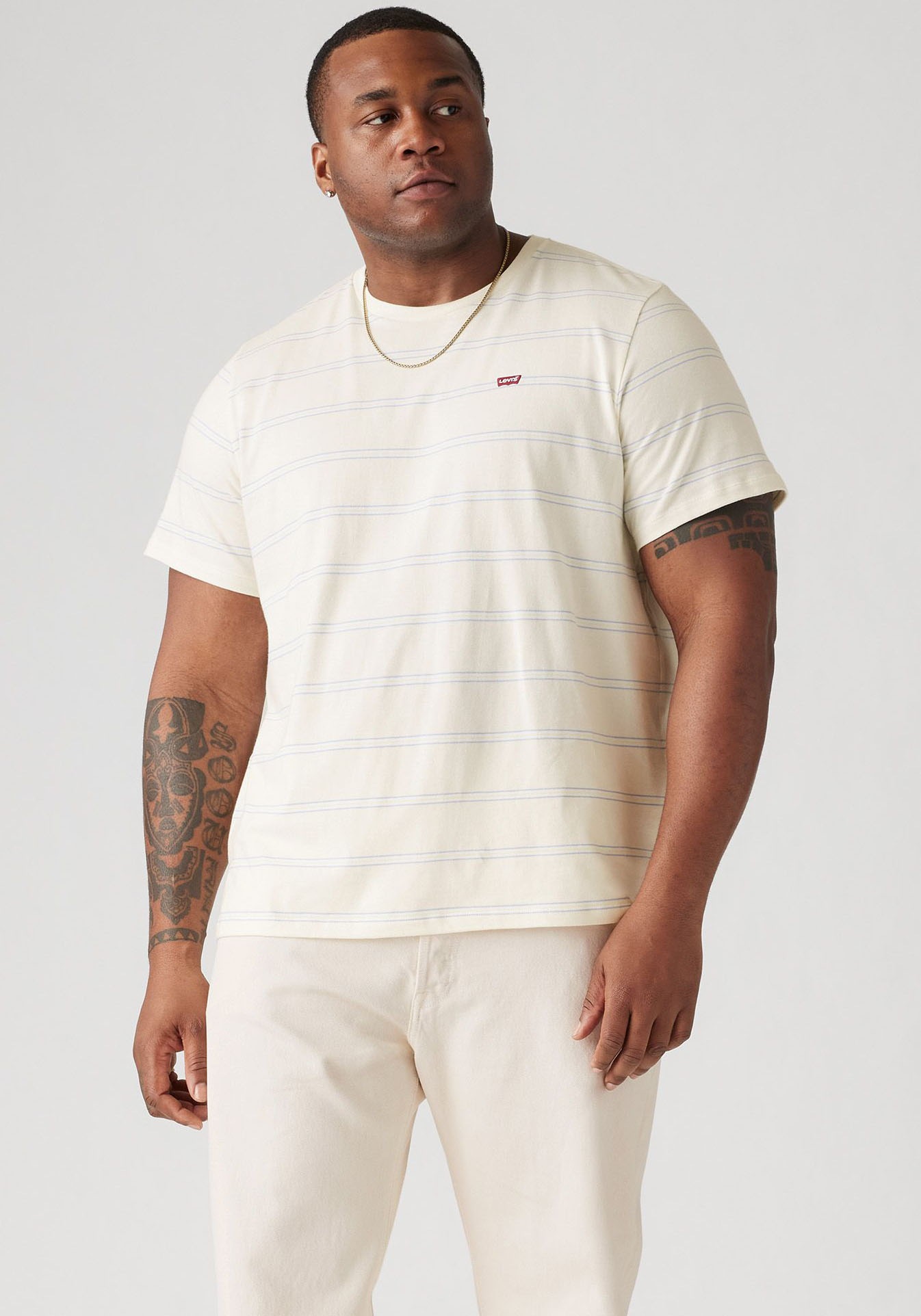 Levi's® Plus Rundhalsshirt »BIG ORIGINAL HM TEE«, im Ringel-Dessin