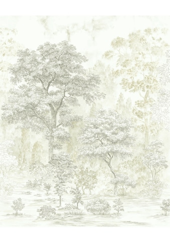 Komar Fototapete »Noble Trees«, botanisch-tropisch-Motiv, bedruckt, botanisch, floral,... kaufen