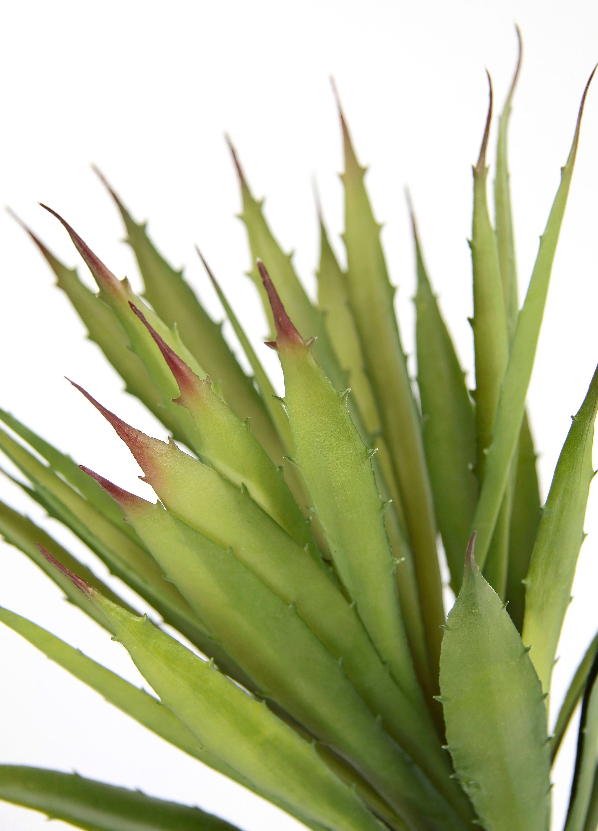 I.GE.A. Kunstpflanze »Künstliche Agave Aloe Vera im Topf Kunstpflanze«, Kaktus Kakteen