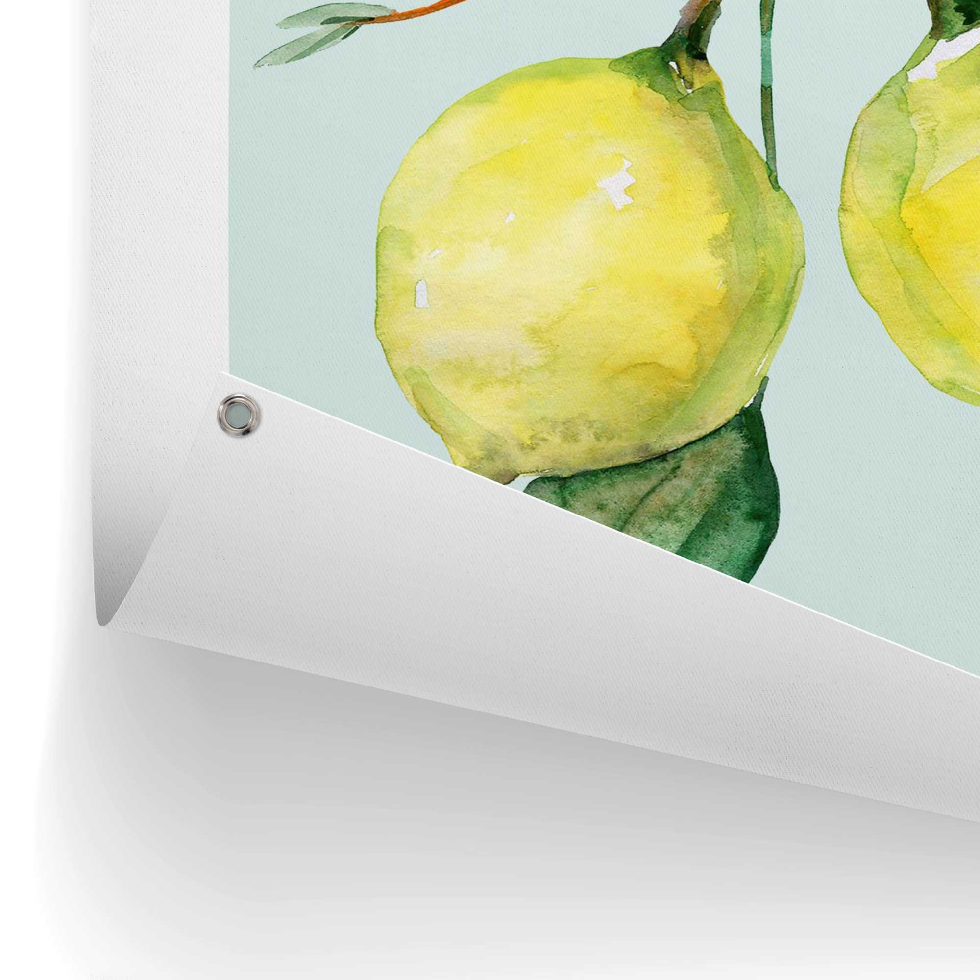 Reinders! Poster »Lemon Portrait«