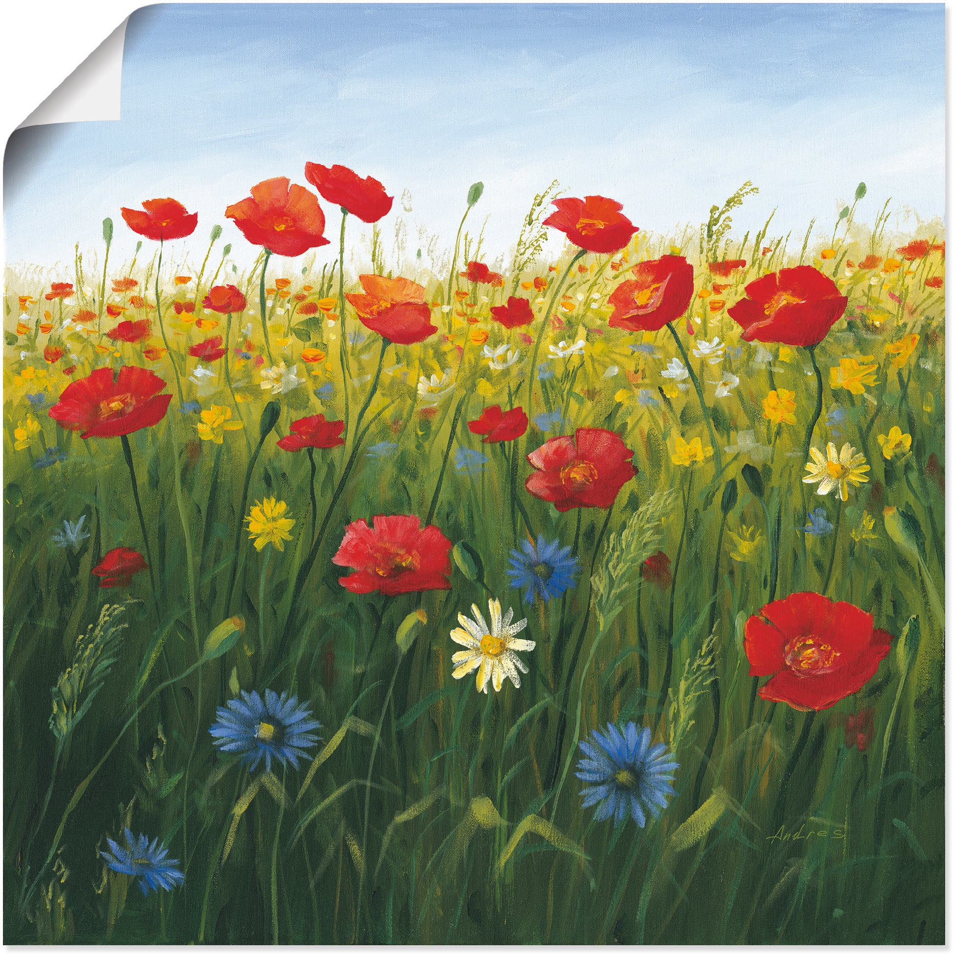 (1 Leinwandbild, Artland in »Mohnblumen St.), Größen I«, kaufen Outdoorbild, Wandbild Landschaft Alubild, verschied. Blumenwiese, als Poster bequem