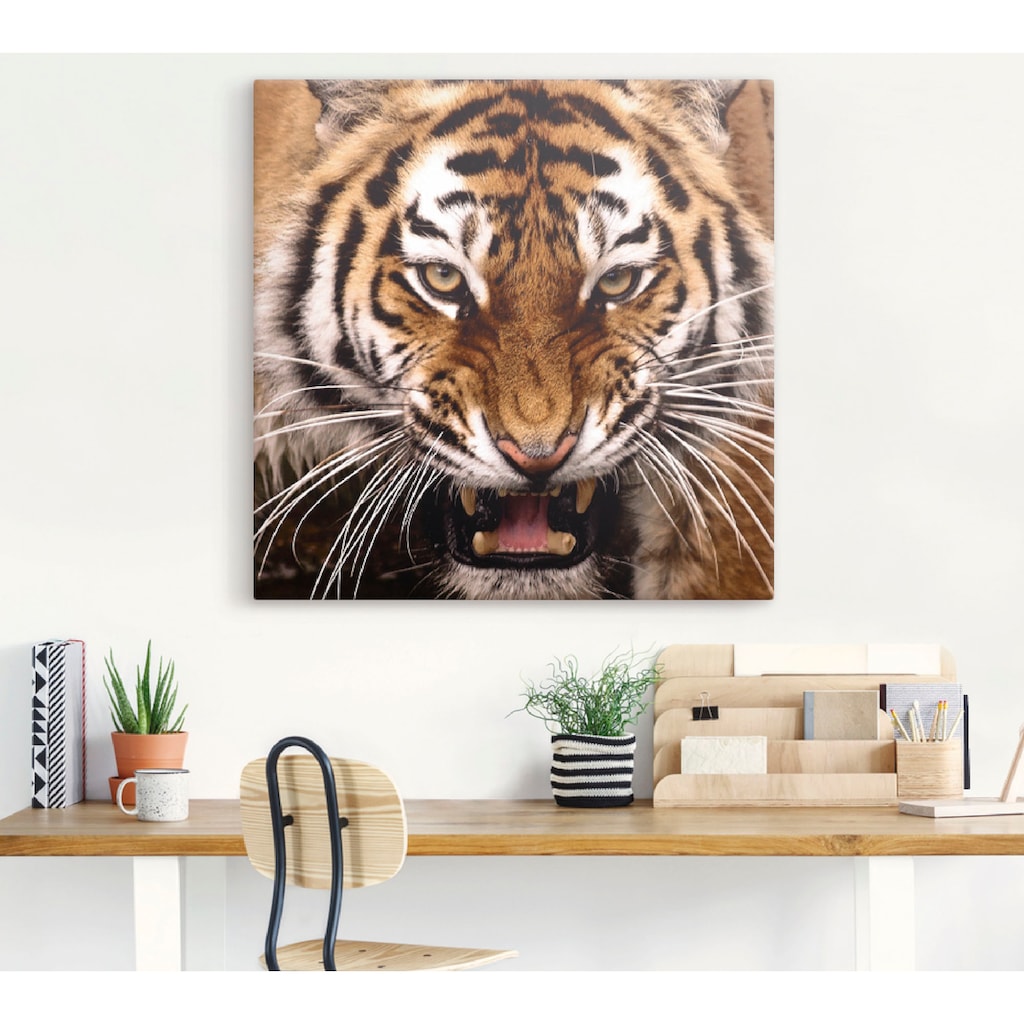 Artland Wandbild »Tiger Kopf«, Wildtiere, (1 St.)