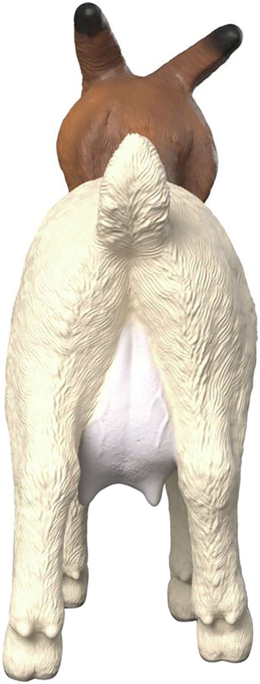 Schleich® Spielfigur »FARM WORLD, Burenziege (14929)«