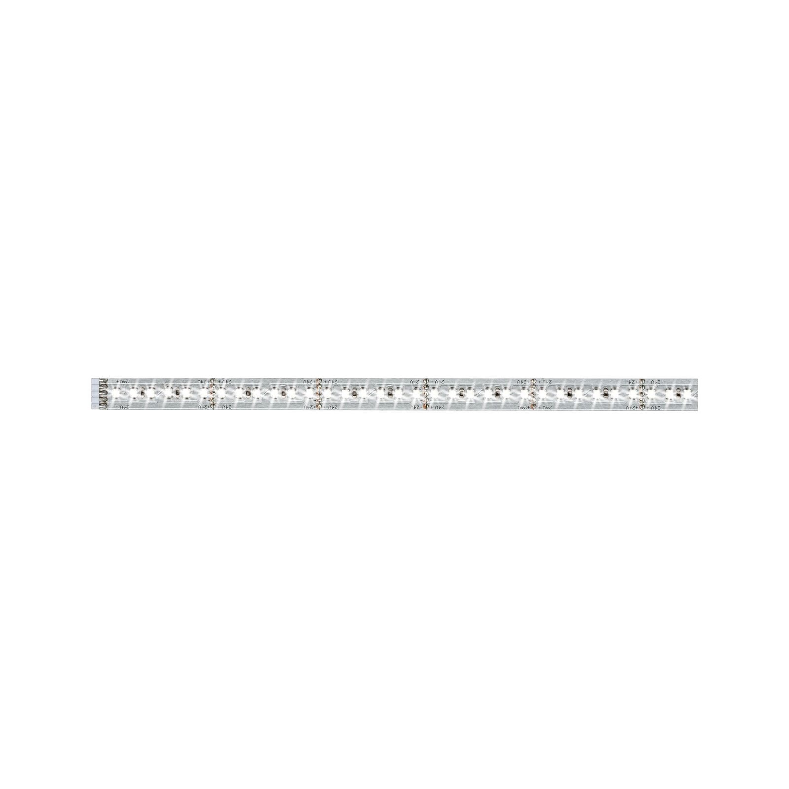 LED-Streifen »MaxLED 1000 Stripe 1m Daylight IP20 6500K 11,5W 24V Silber«, 1 St.-flammig