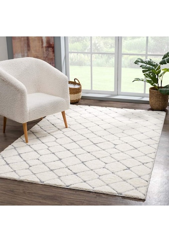 Carpet City Hochflor-Teppich »Focus«, rechteckig, 20 mm Höhe, besonders weich,... kaufen