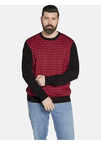 Rundhalspullover »Pullover EARL ALAN«