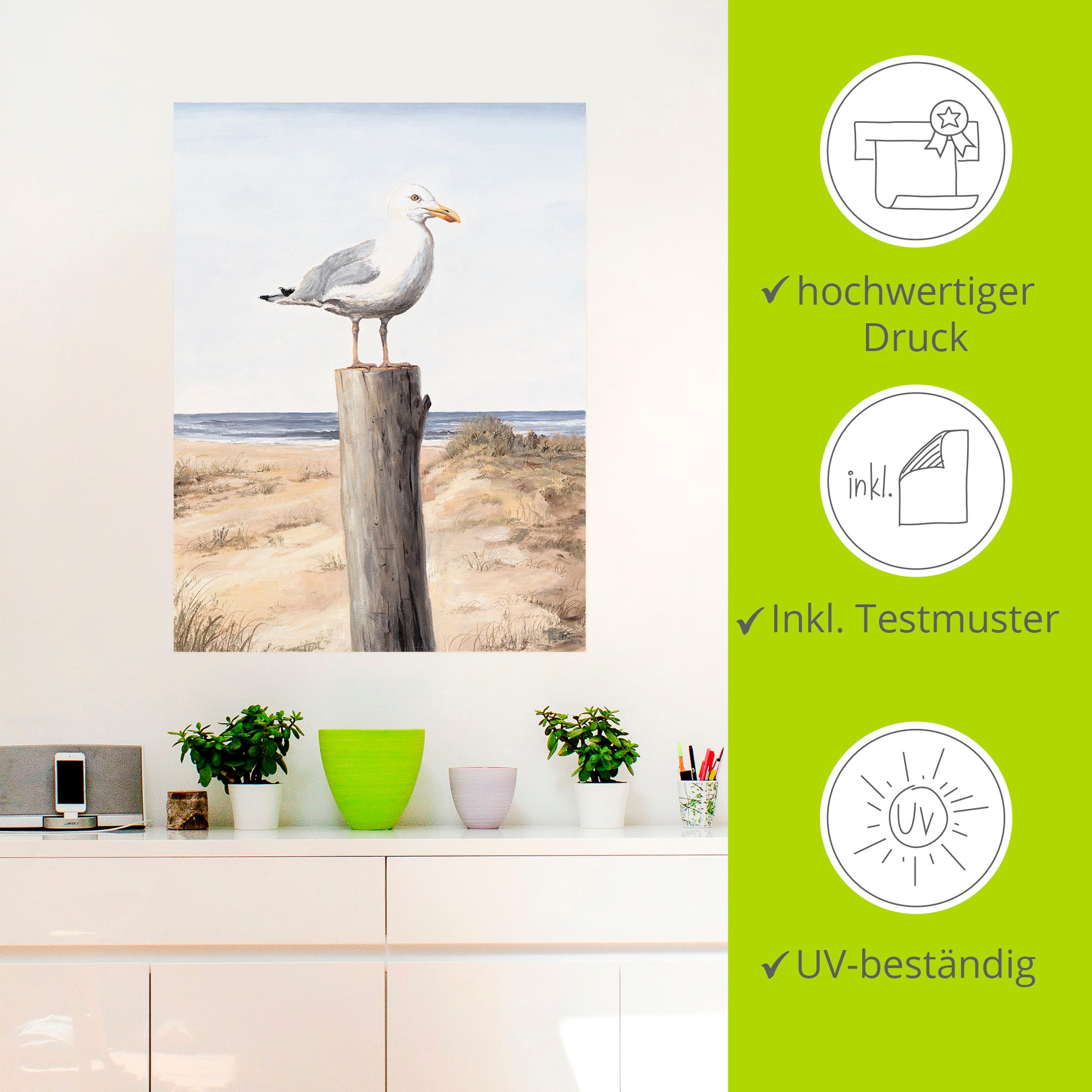 Artland Wandbild »Möwe«, Vögel, (1 St.), als Alubild, Outdoorbild, Leinwandbild, Poster, Wandaufkleber