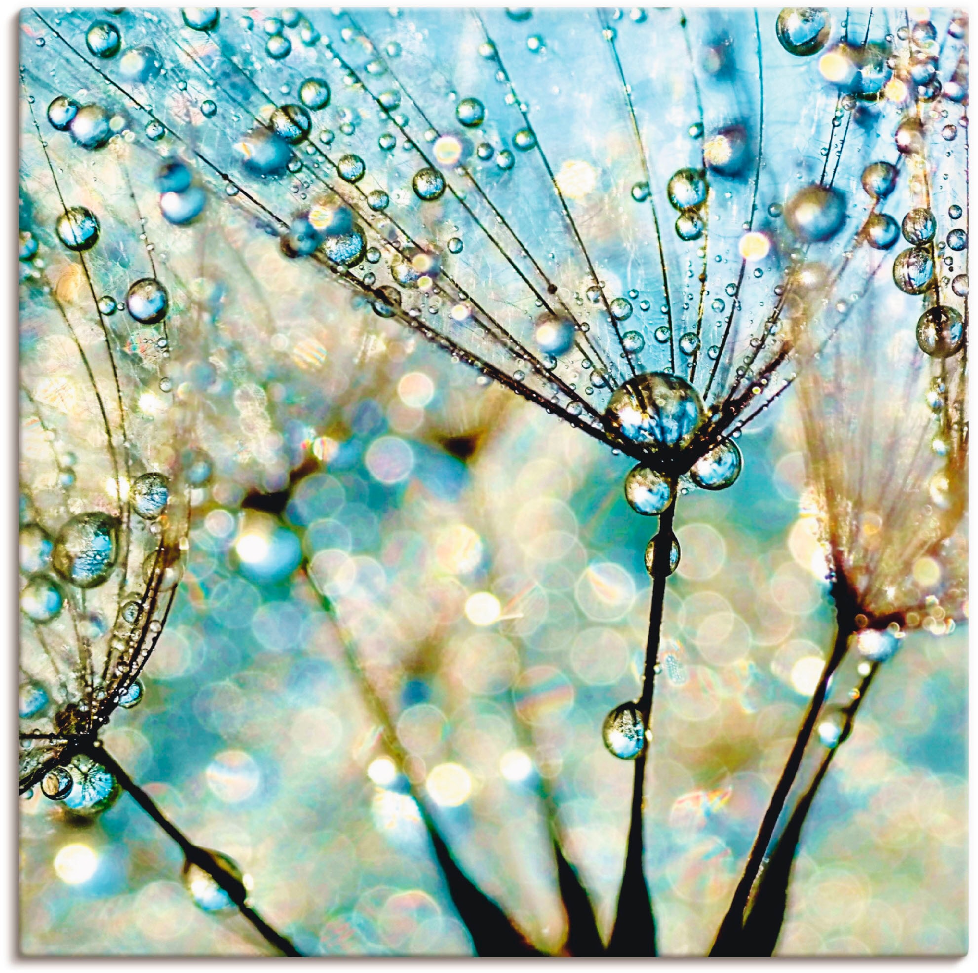 Artland Leinwandbild "Pusteblume Blaue Diamanten" Blumen 1 Stk. tlg. auf Holzrahmen gespannt