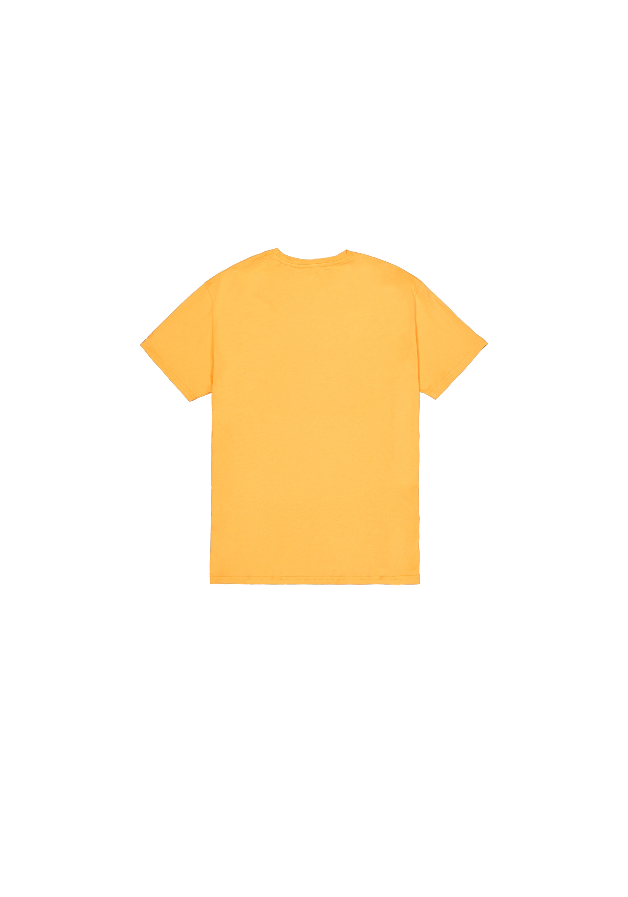 Alpha Industries T-Shirt »Flying Buzz SL T-Shirt«