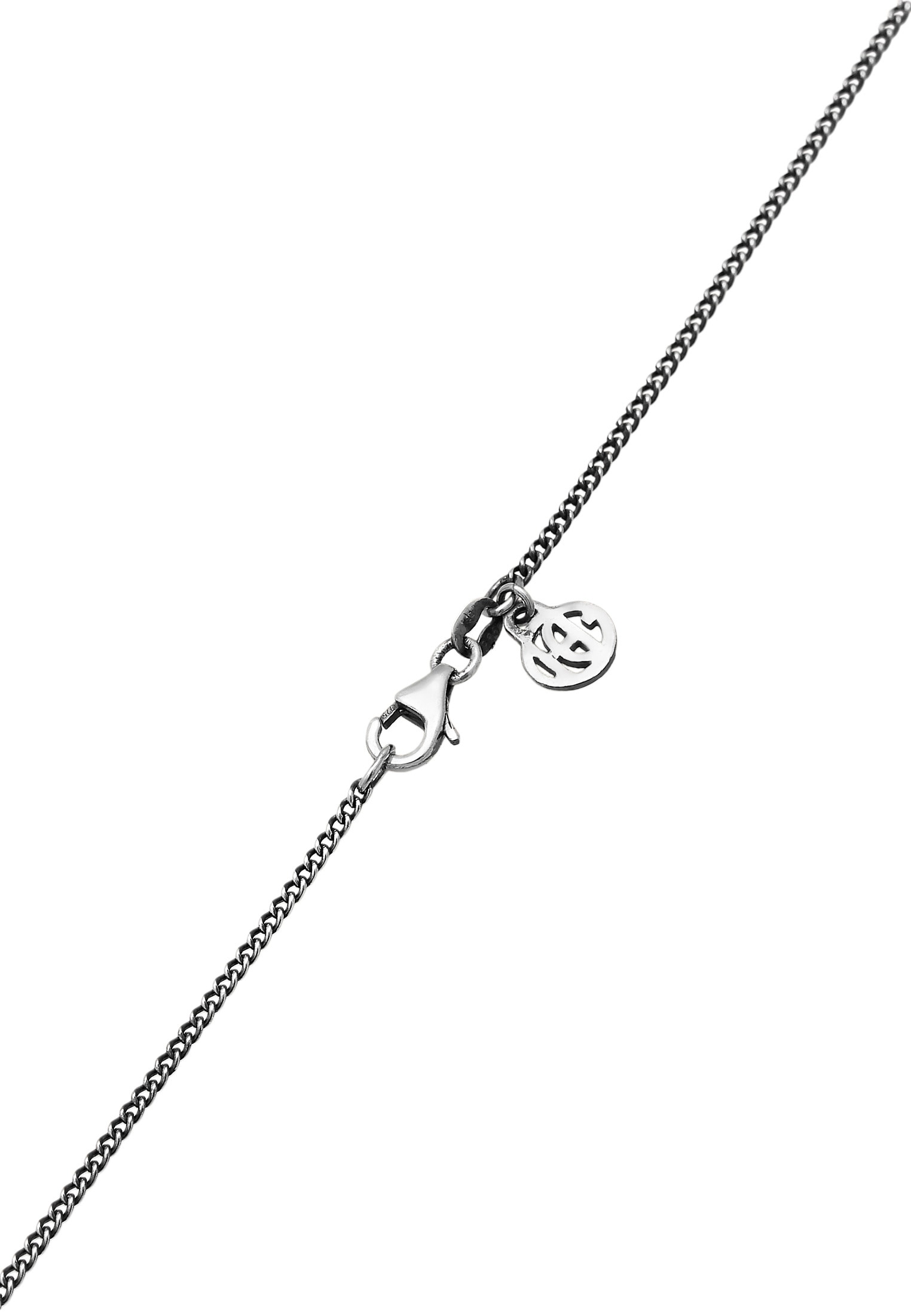 HAZE & GLORY Kette mit Anhänger »Halskette Münze - Tiger 925 Silber«