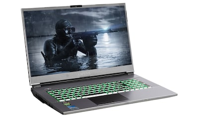 CAPTIVA Gaming-Notebook »Advanced Gaming I63-991«, (43,9 cm/17,3 Zoll), Intel, Core... kaufen