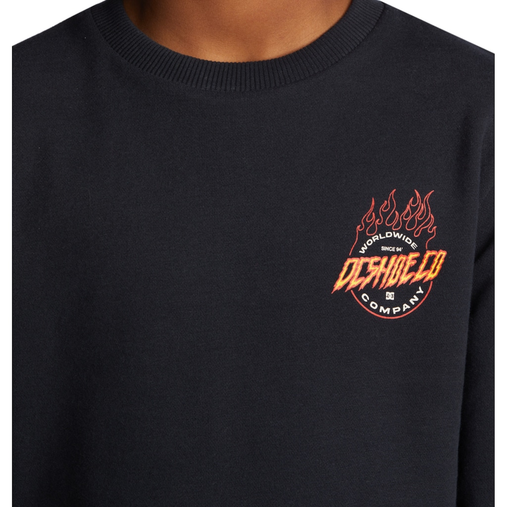 DC Shoes Sweatshirt »Fiery«