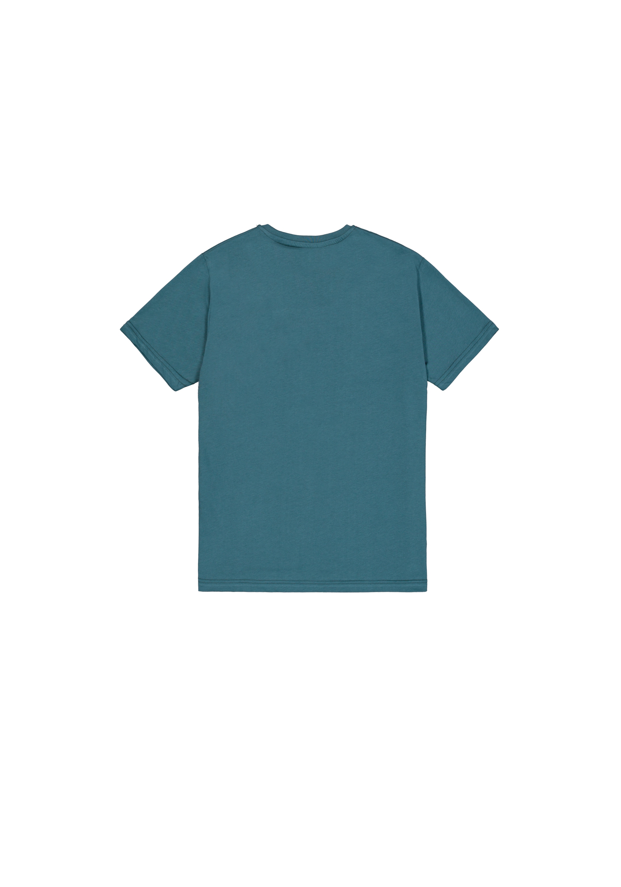 Alpha Industries T-Shirt »Nebula T-Shirt«