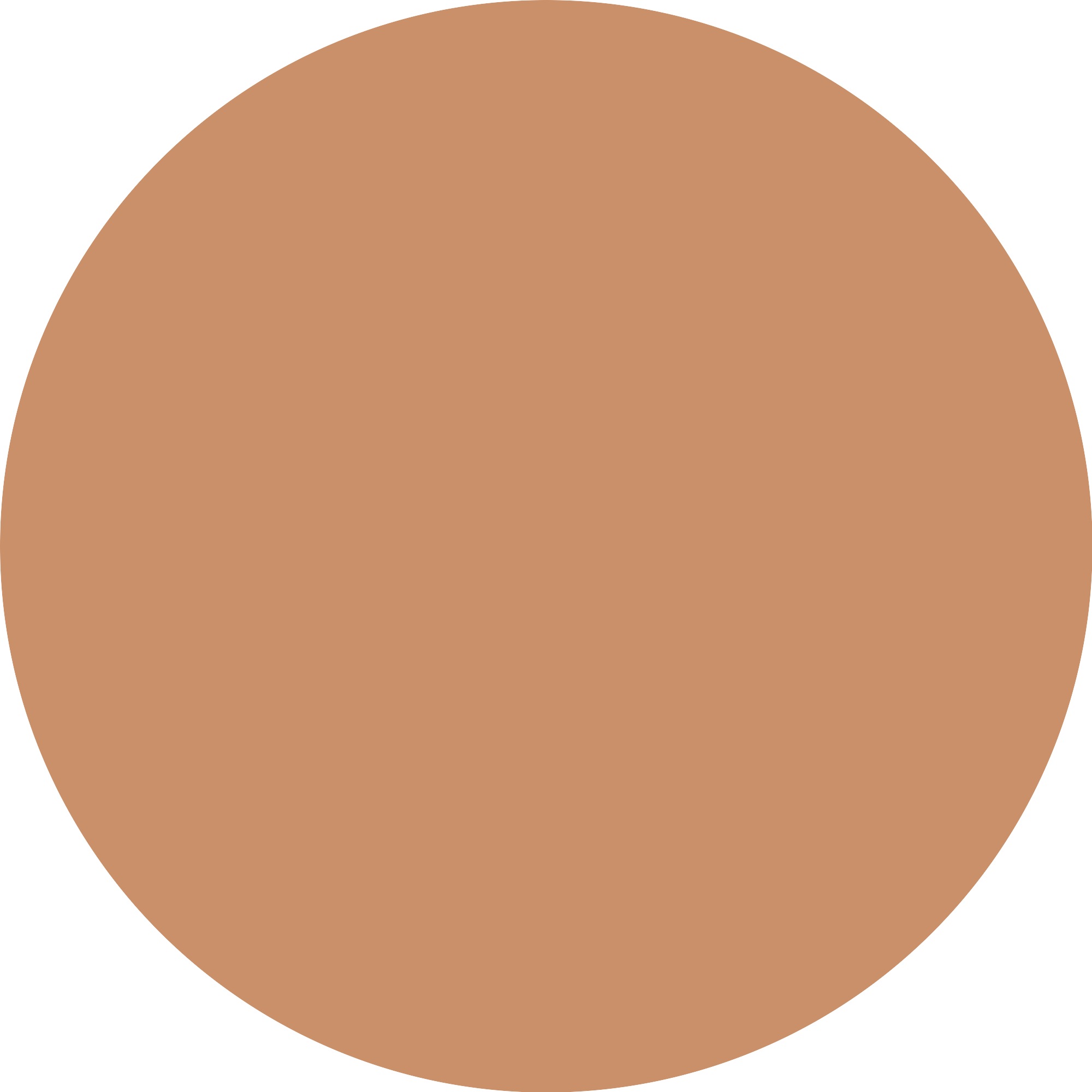 Catrice Rouge »Colour Flush Dewy Serum Blush«