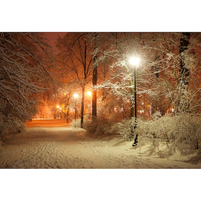 Papermoon Fototapete »Park im Winter« bequem kaufen