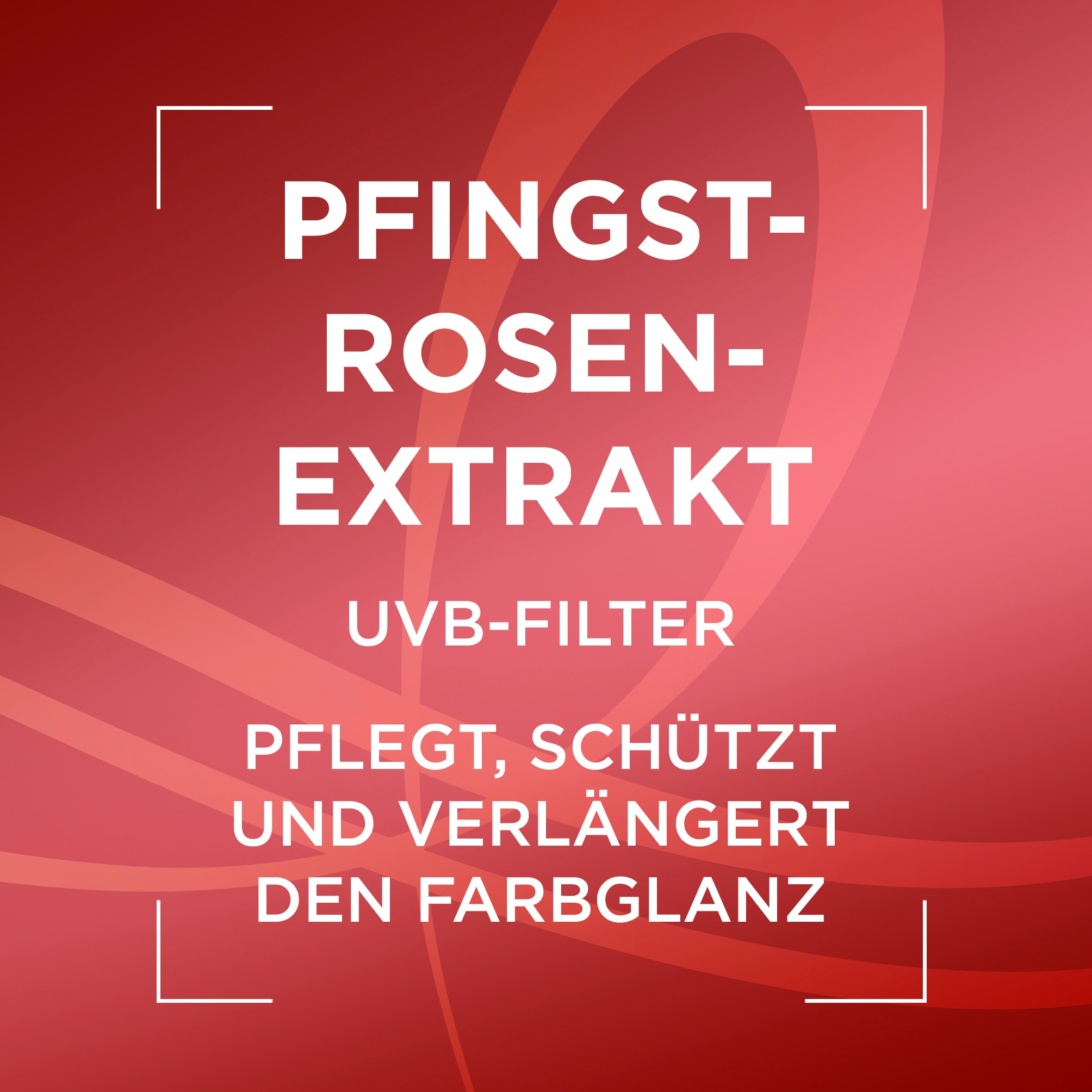 L'ORÉAL PARIS Haarshampoo »Elvital Color Glanz Shampoo«, (Packung, 6 tlg.), Mit Farbschutz für längere Leuchtkraft, mit UVA-/UVB-Filter.