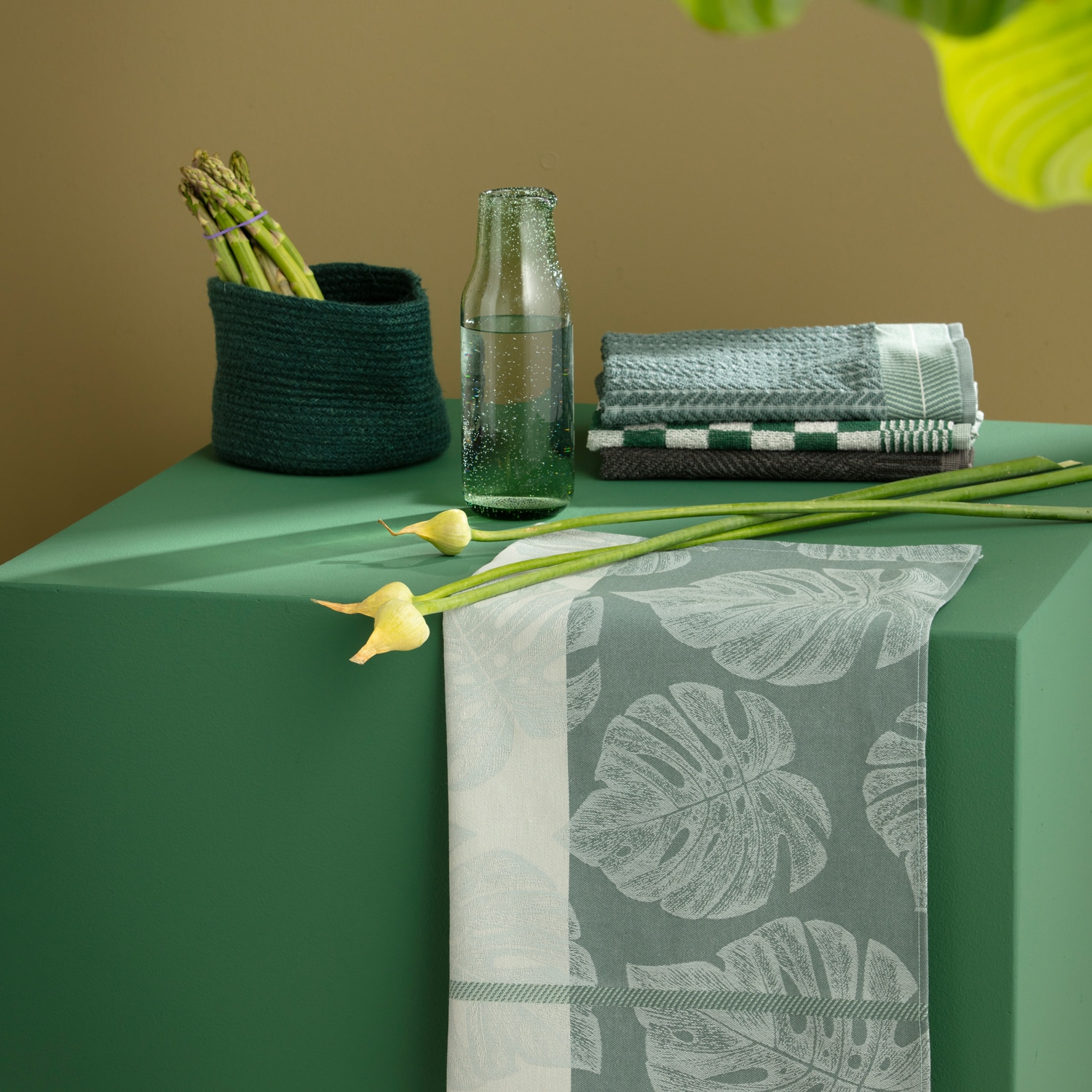 DDDDD Geschirrtuch »DDDDD Küchenhandtuch Monstera 50x55 (6er-Pack)« schnell trocknend, 100% Baumwolle, mit graphischem Muster