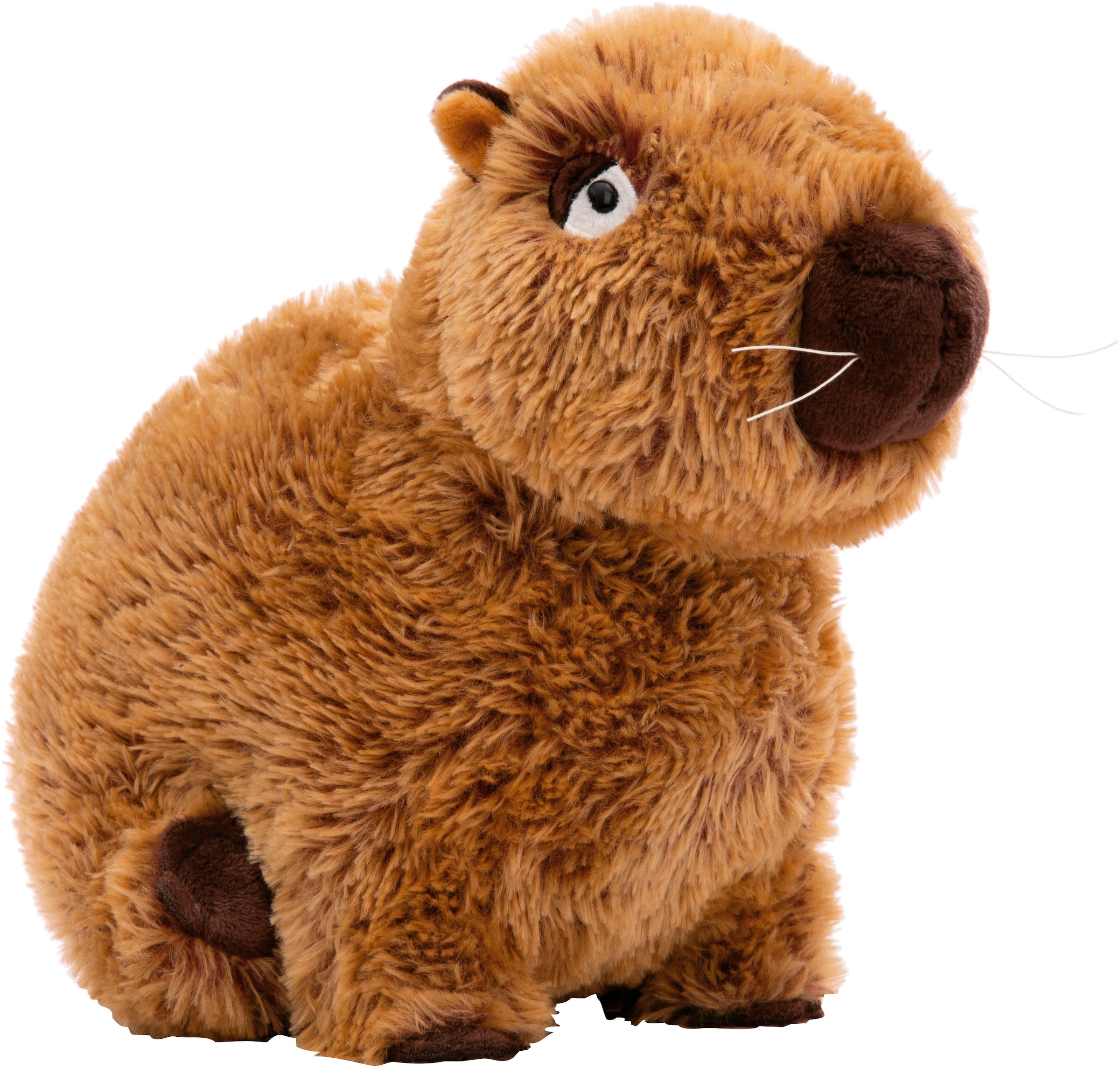 Nici Kuscheltier »Capybara Capy-Barbara, 27 cm«, sitzend