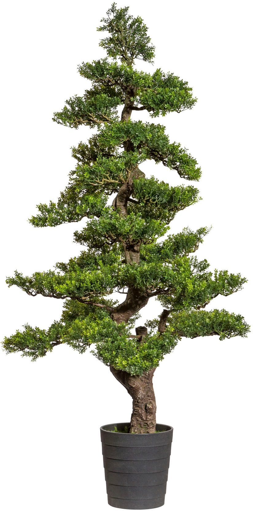 Kunstbonsai »Bonsai Teeblatt«