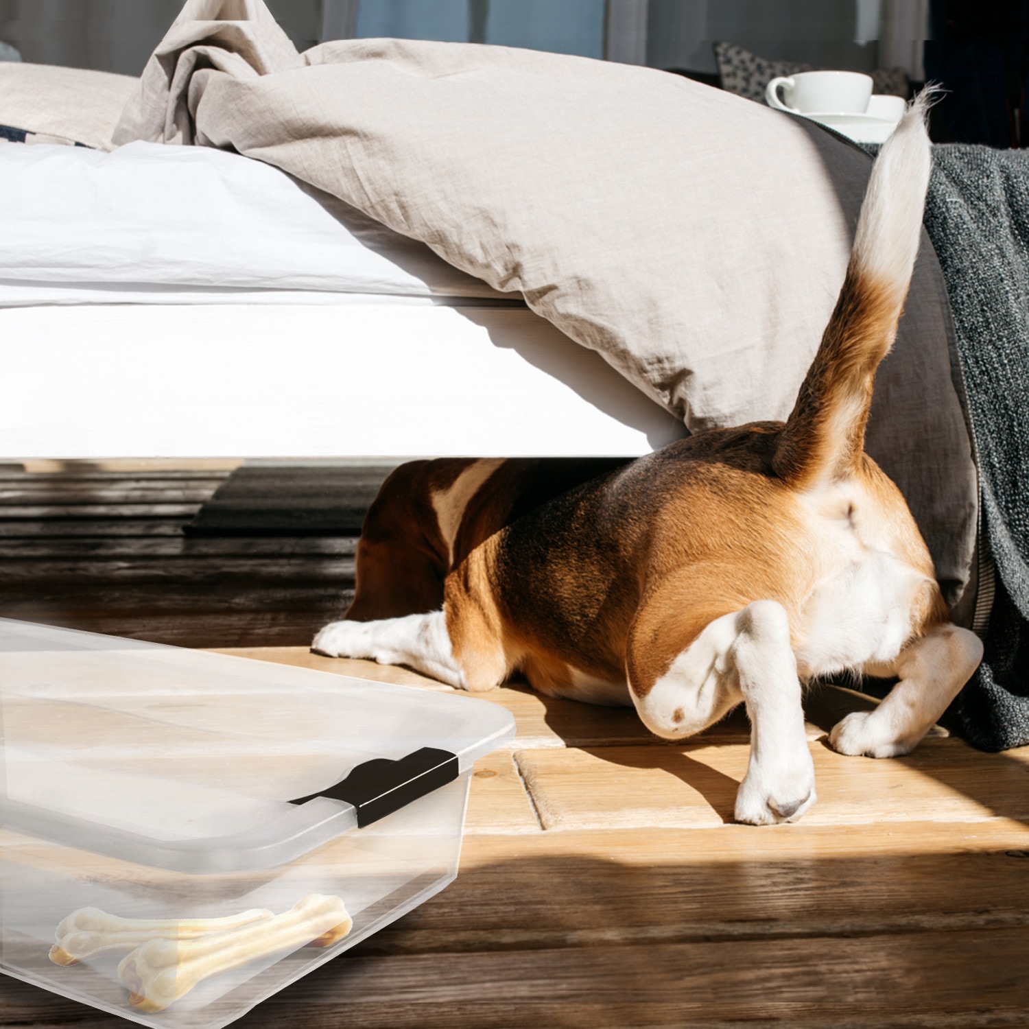 keeeper Aufbewahrungsbox »Cornelia, 6er Set, 7 L, 39,5 x 29,5 x 9,5 cm« durch Clips verschließbar, Griffe am Boden