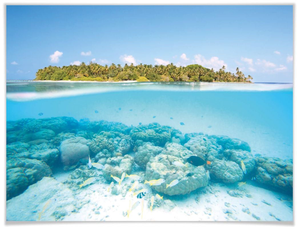 Wall-Art Poster »Unterwasserwelt Malediven«, Meer, bestellen Bild, Poster, Wandposter Wandbild, Raten auf St.), (1