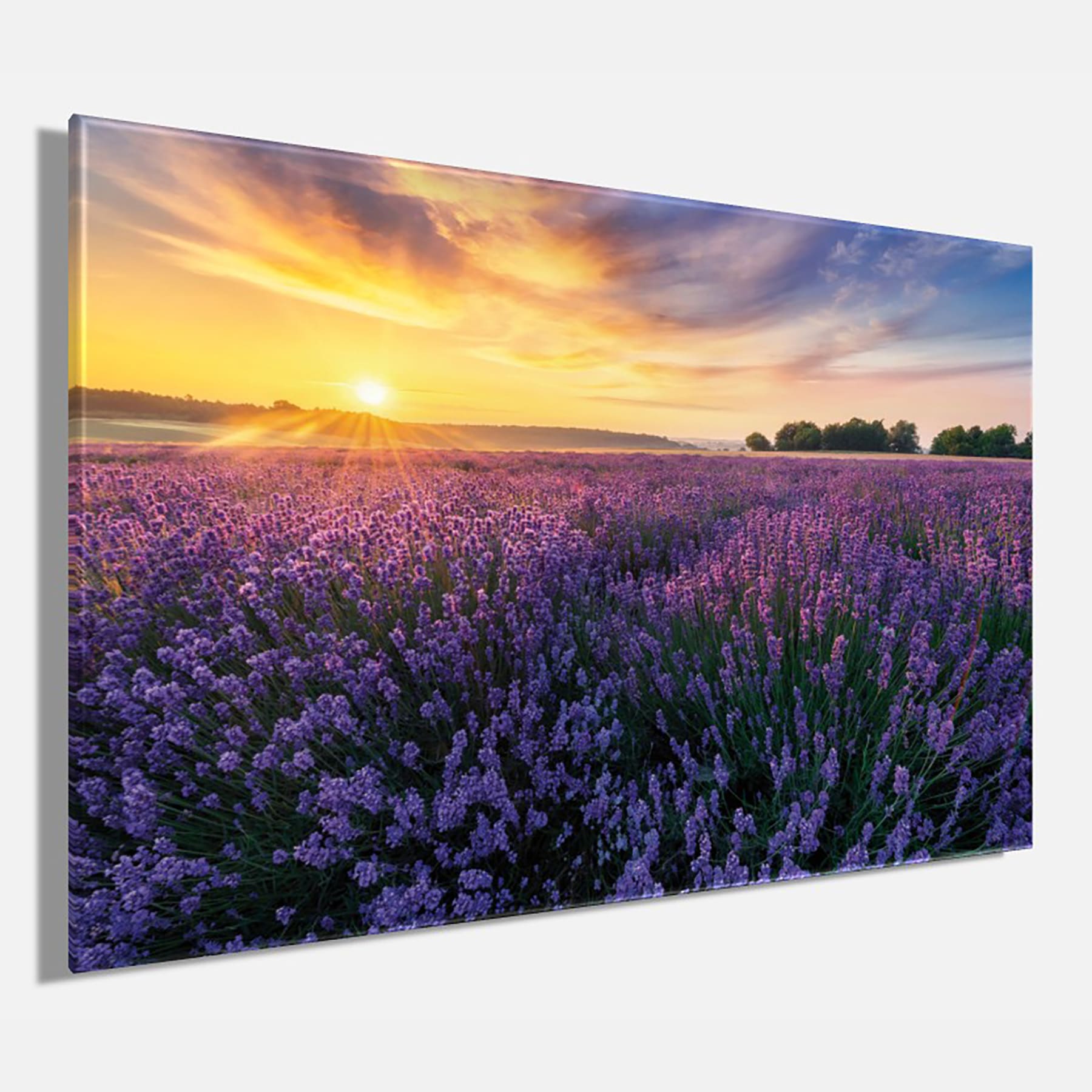 Bönninghoff Leinwandbild Felder | Sonnenaufgang 1 Stk. tlg.