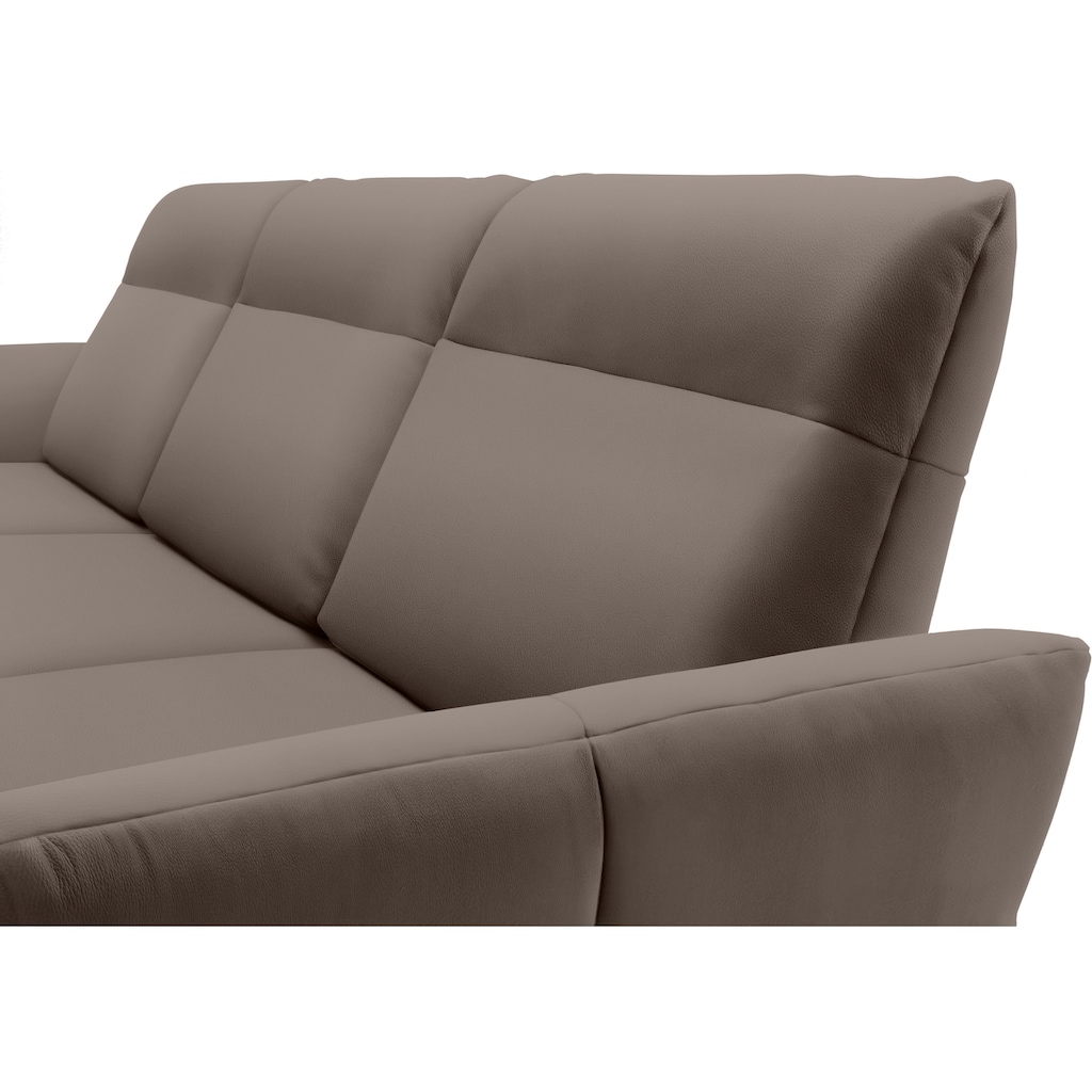 hülsta sofa Ecksofa »hs.460«, Sockel in Eiche, Winkelfüße in Umbragrau, Breite 338 cm