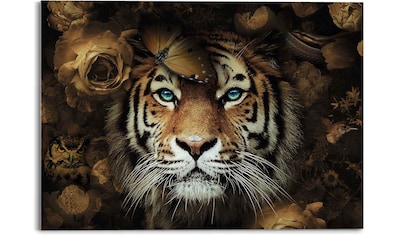 Reinders! Wandbild »Sibirischer Tiger« bequem kaufen
