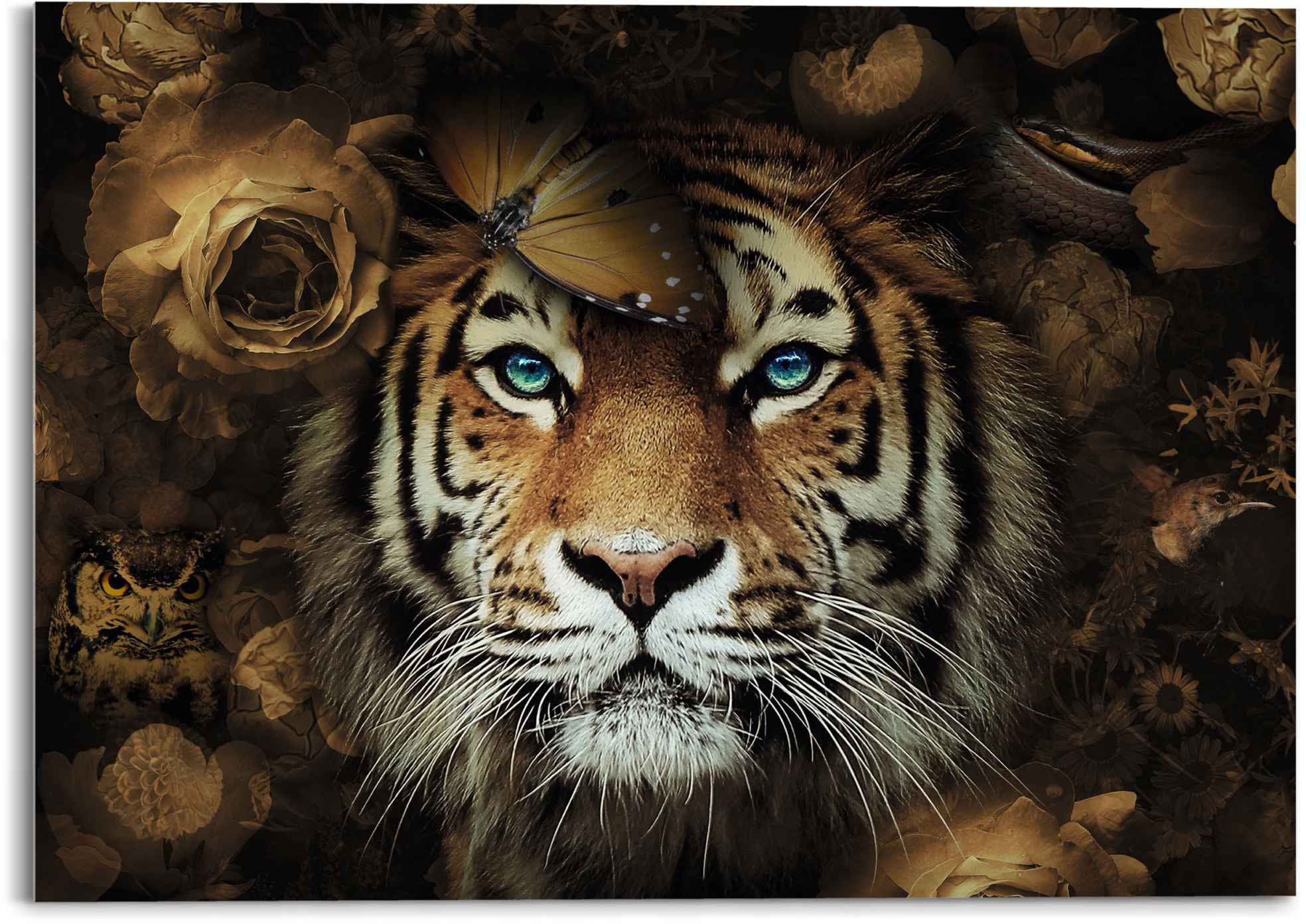 Reinders! Wandbild Tiger« kaufen »Sibirischer bequem