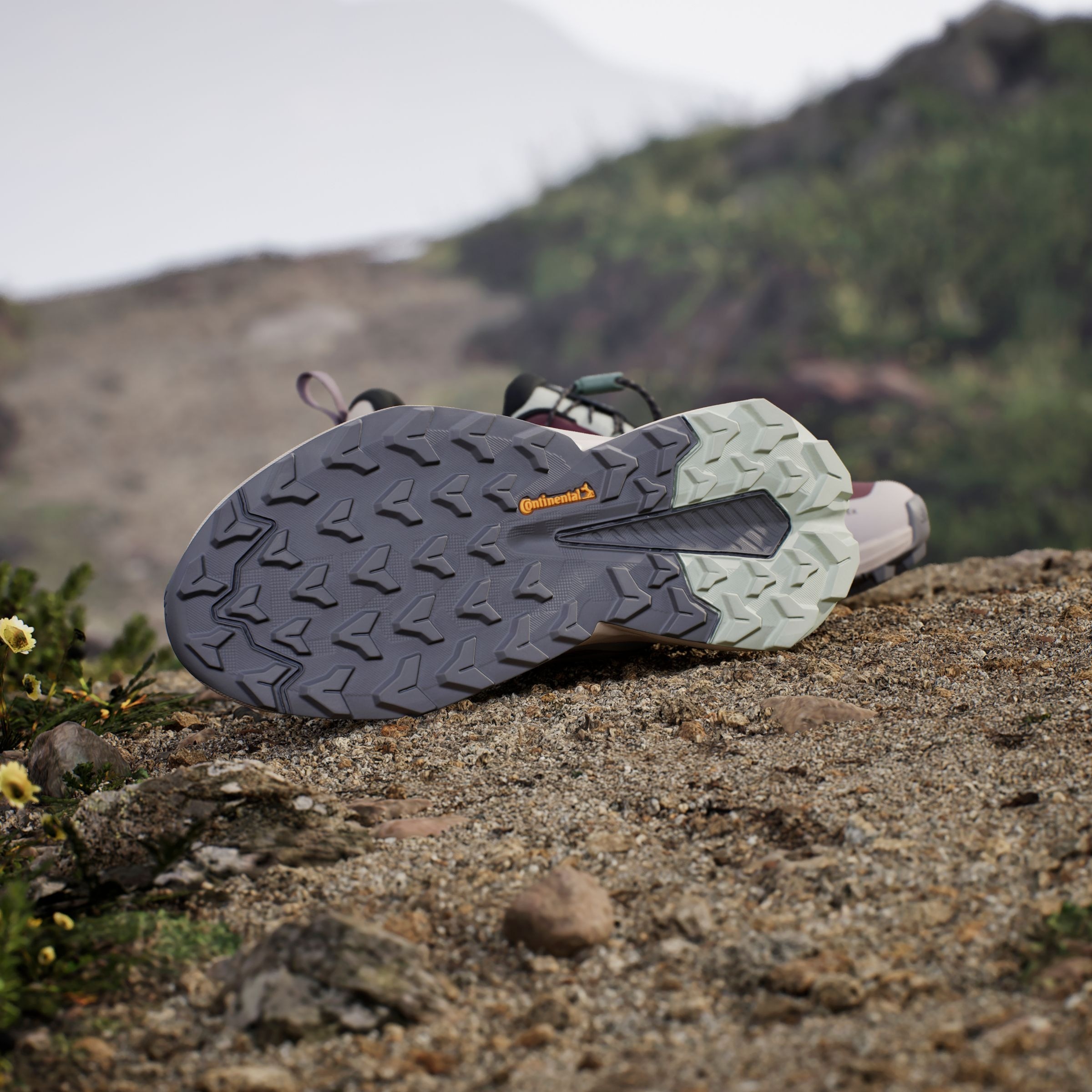 adidas TERREX Wanderschuh »TERREX TRAILMAKER 2 GORE-TEX SPEED LACE«