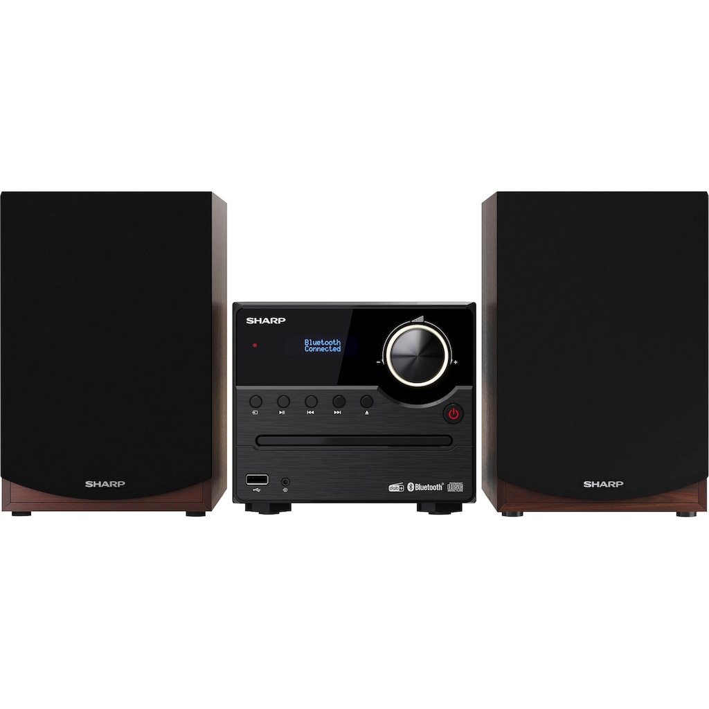 Sharp Audio-System »XL-B517D Mikro«