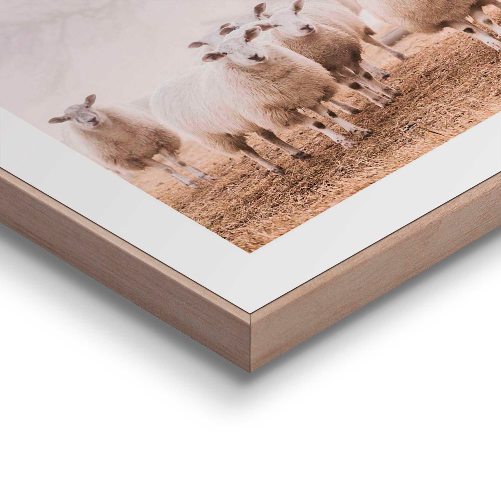 Reinders! kaufen im bequem »Schafe Nebel« Poster